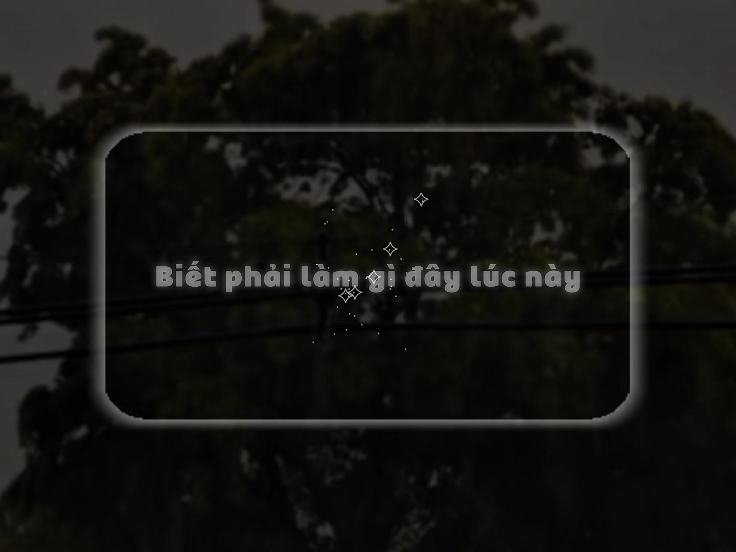 @𝙣𝙩𝙩𝙣 𝙢𝙪𝙨𝙞𝙘💤