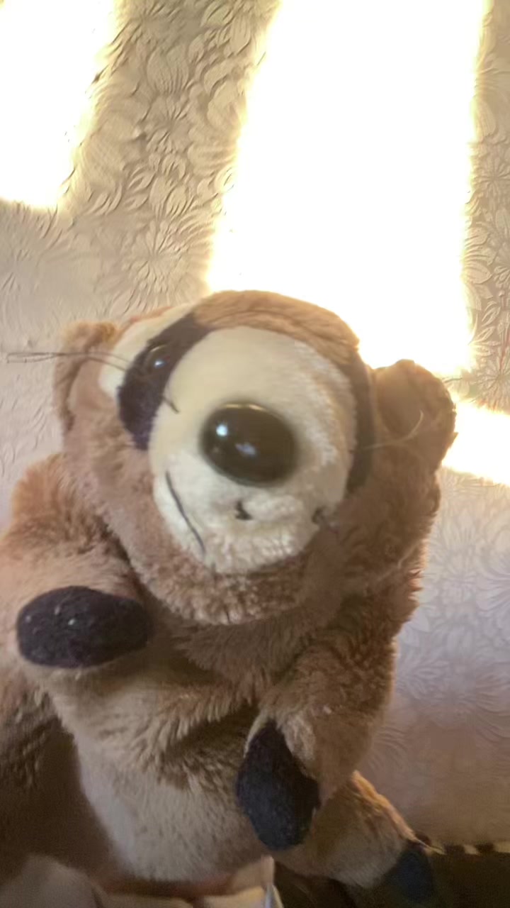 @ʙᥲяᛪ༙