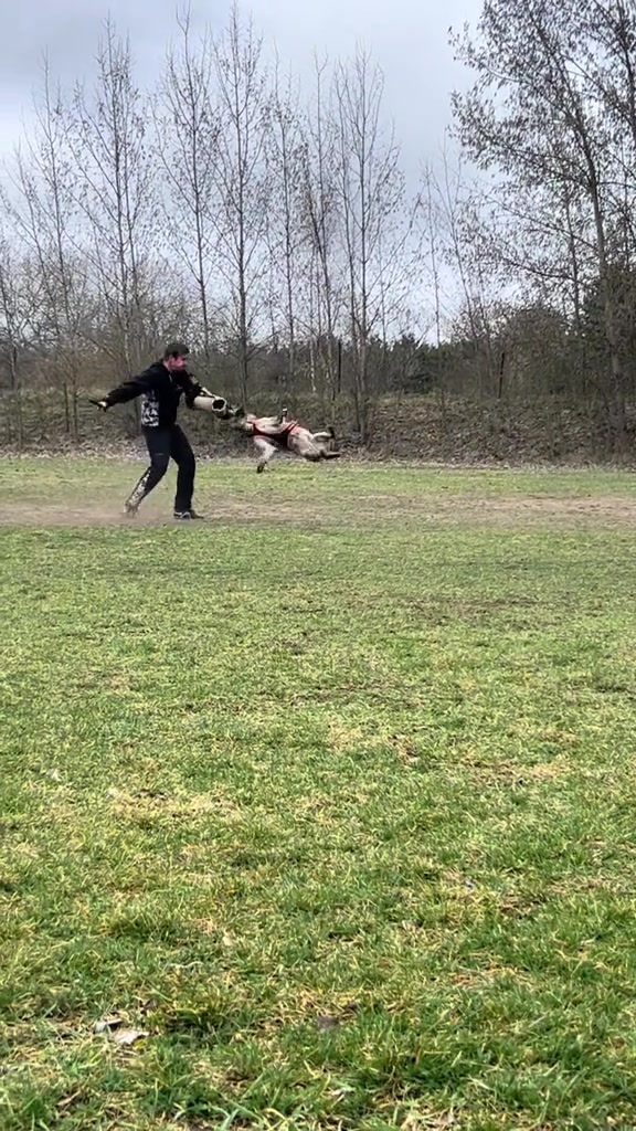 @Jasi&Tobi Dogsport