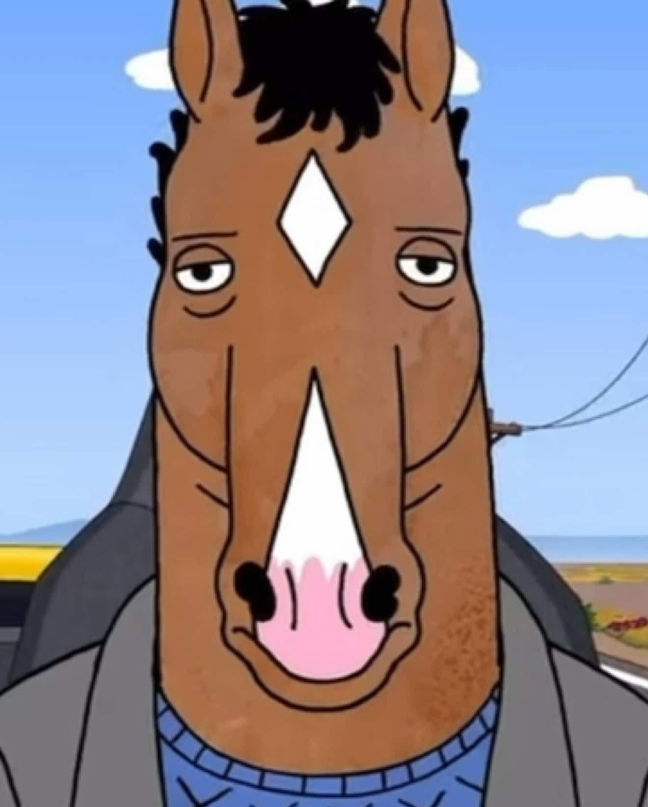 @Bojack clipz