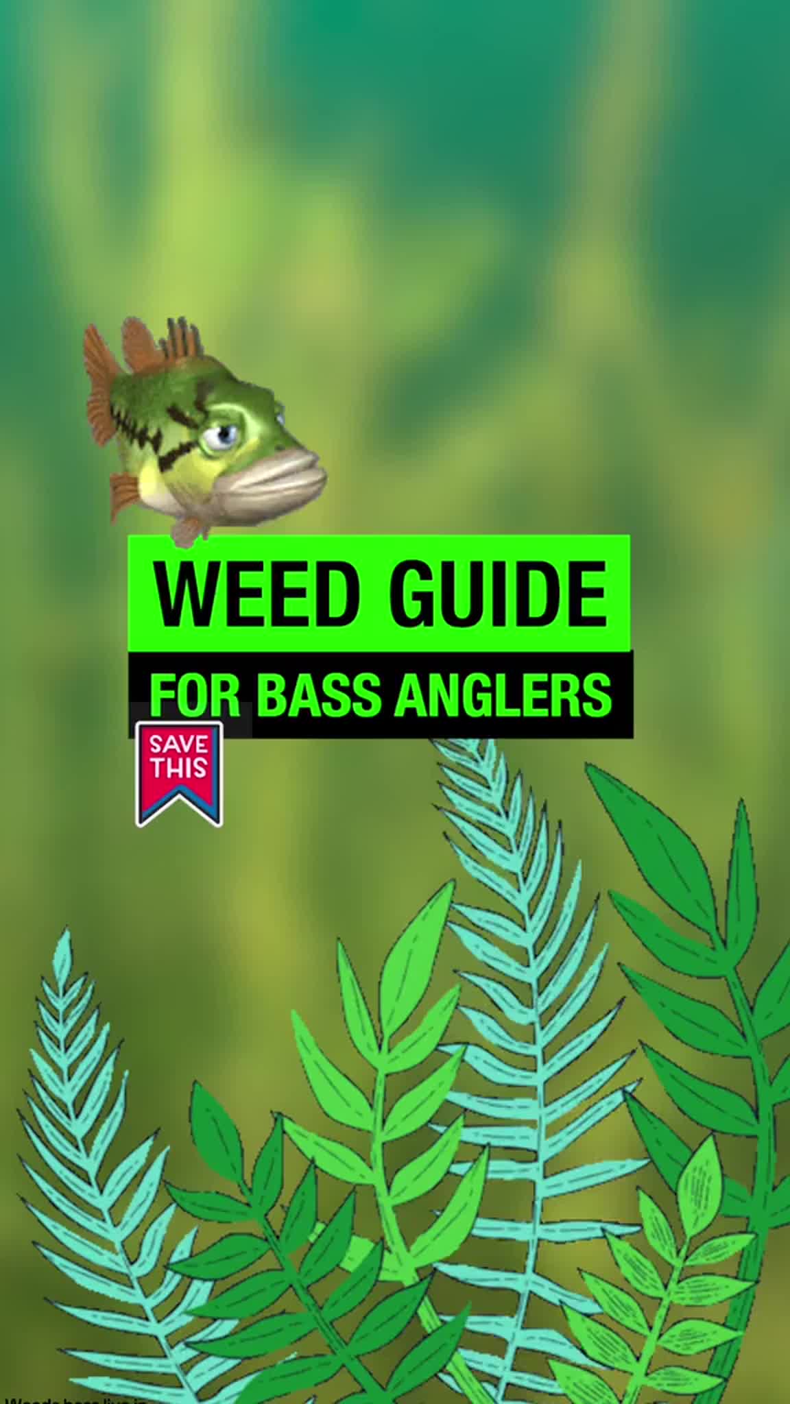 @Lunkerville