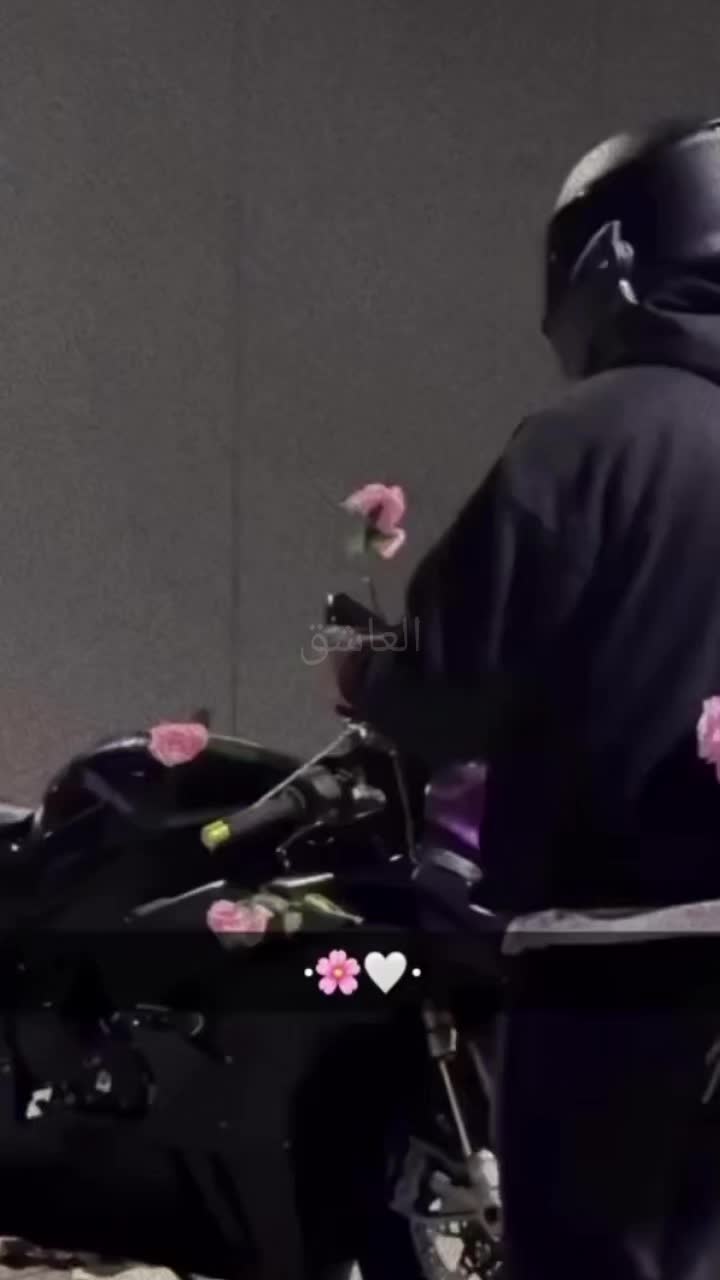 @𝒴 ᥫ᭡