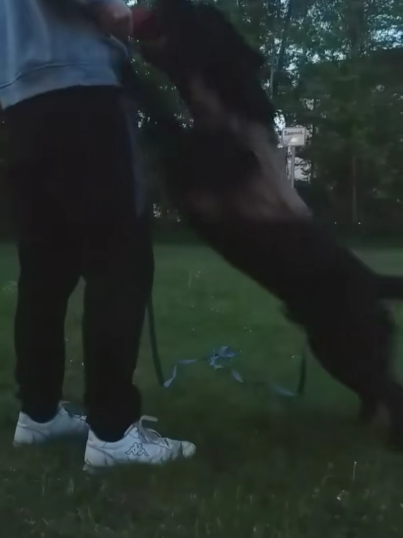 @BeastDNA