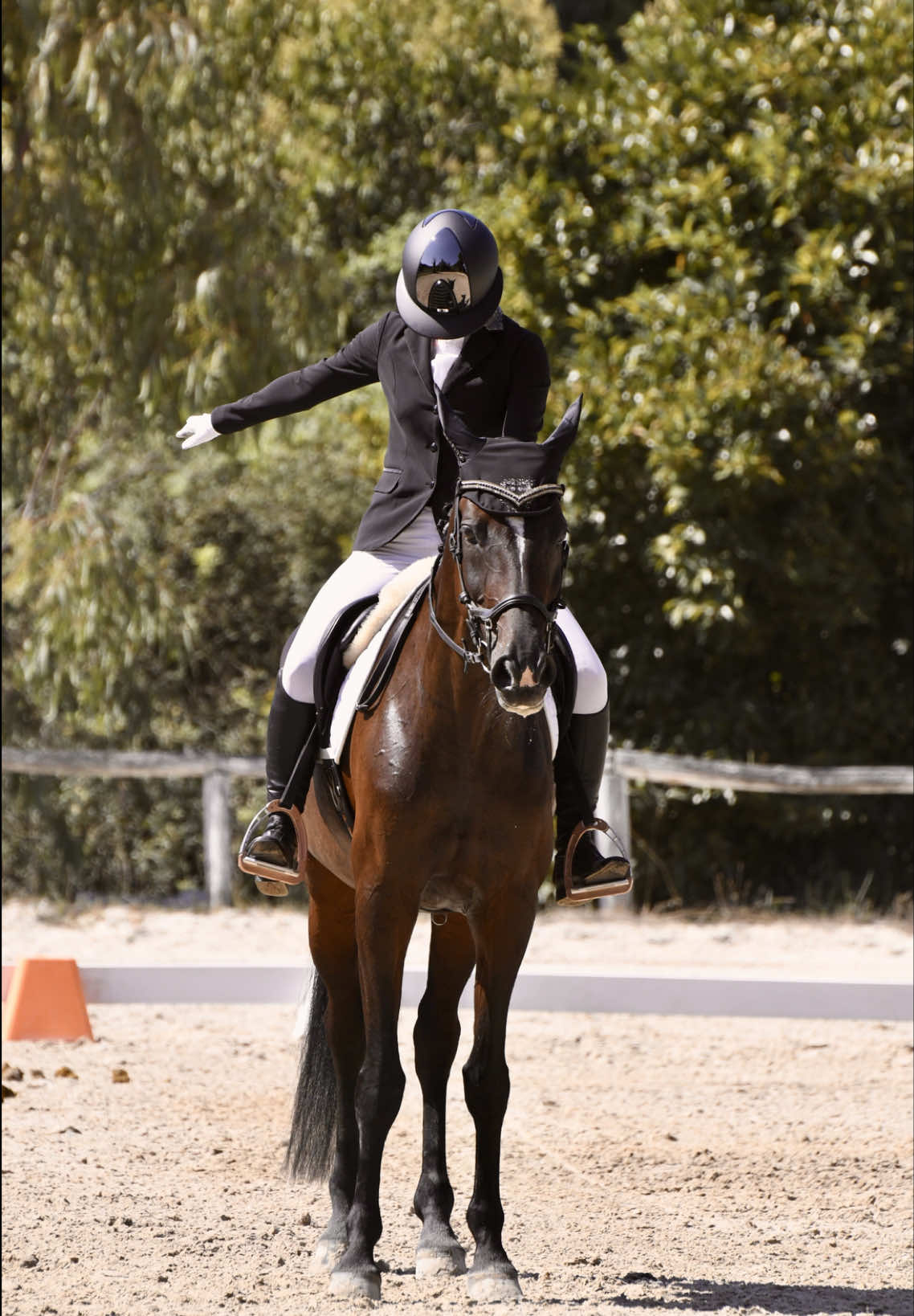 @Fabiana Tuccillo🇮🇹🐴🫀