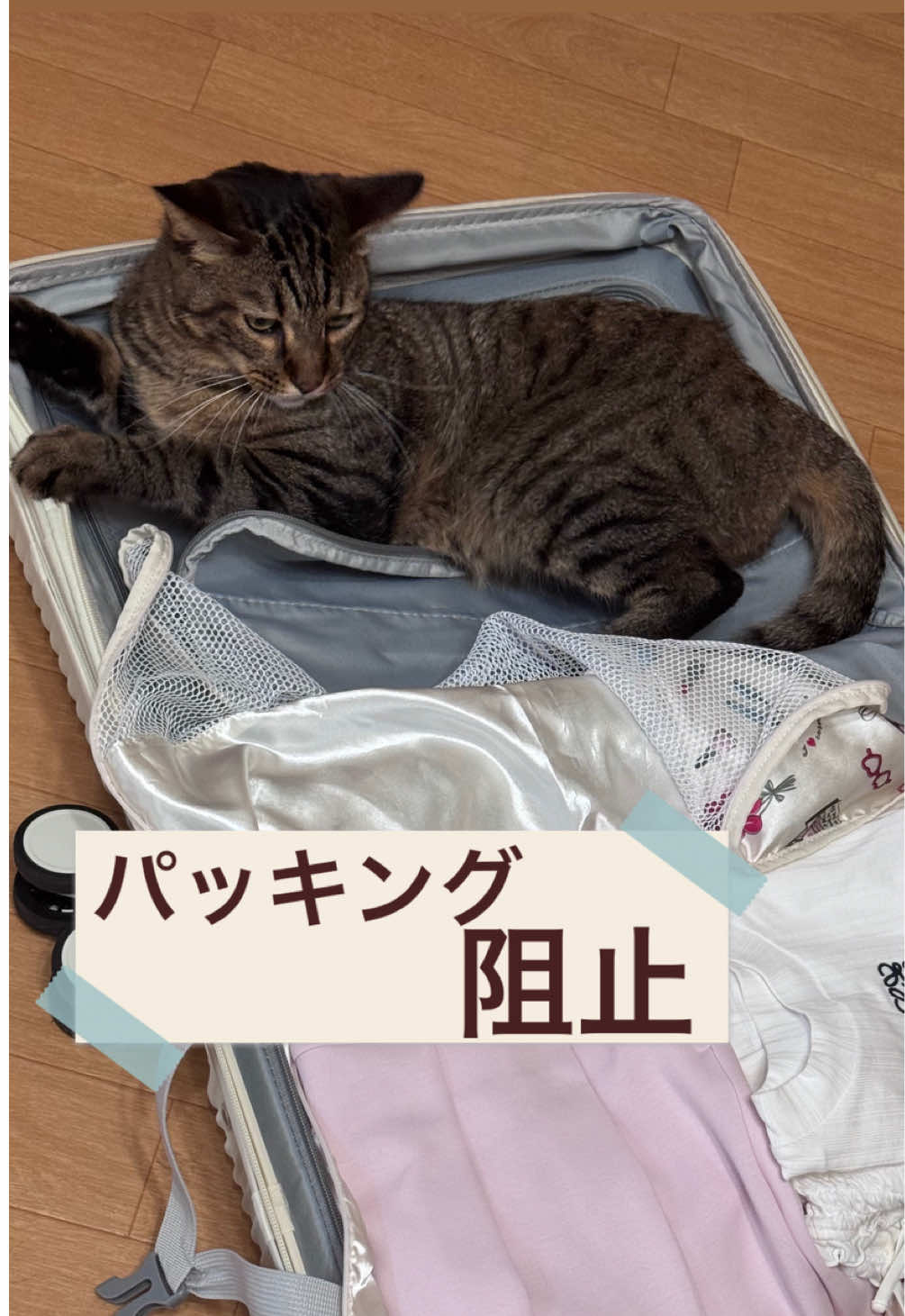 @さっことおちょ