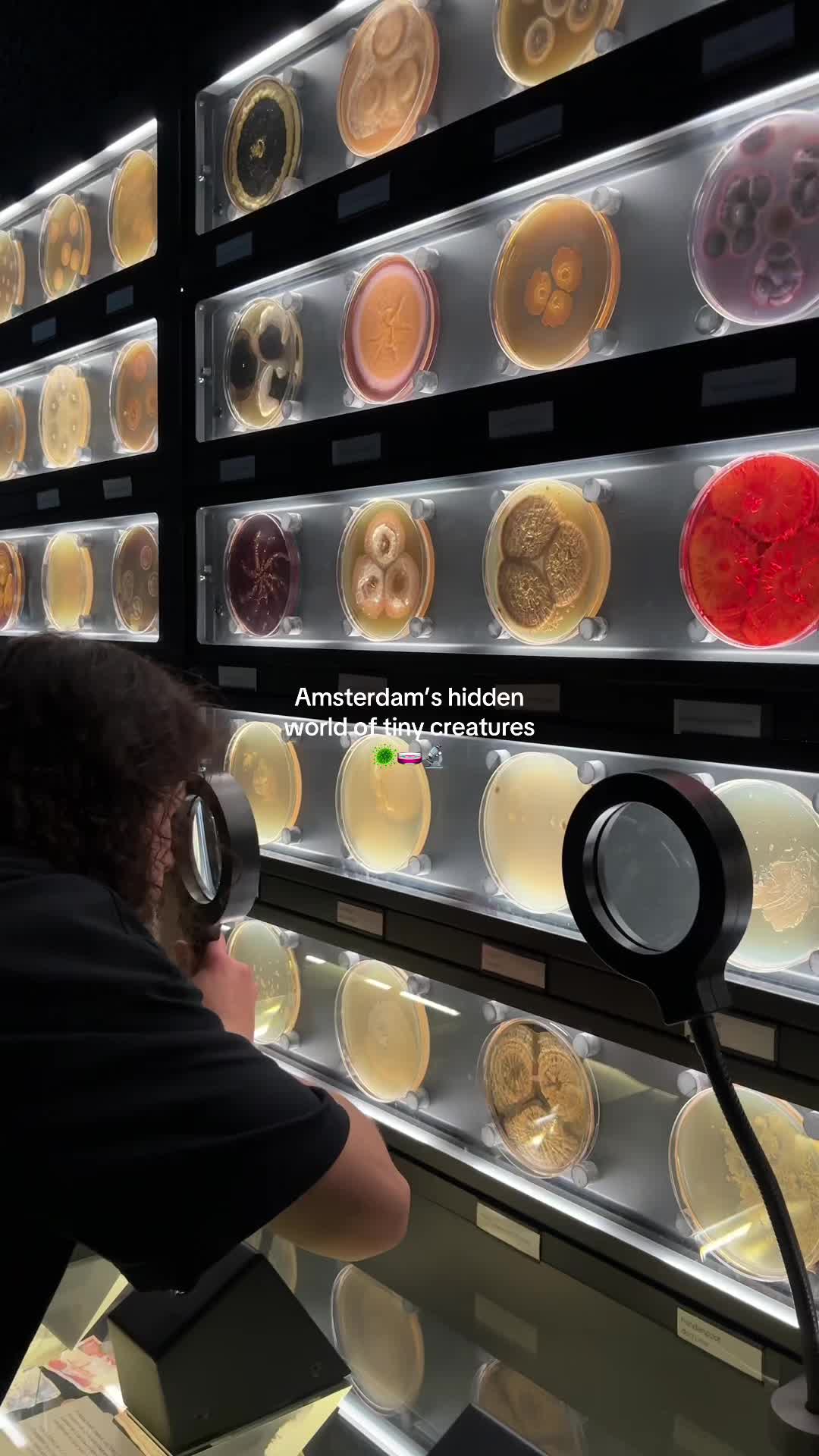 @Jens in Amsterdam