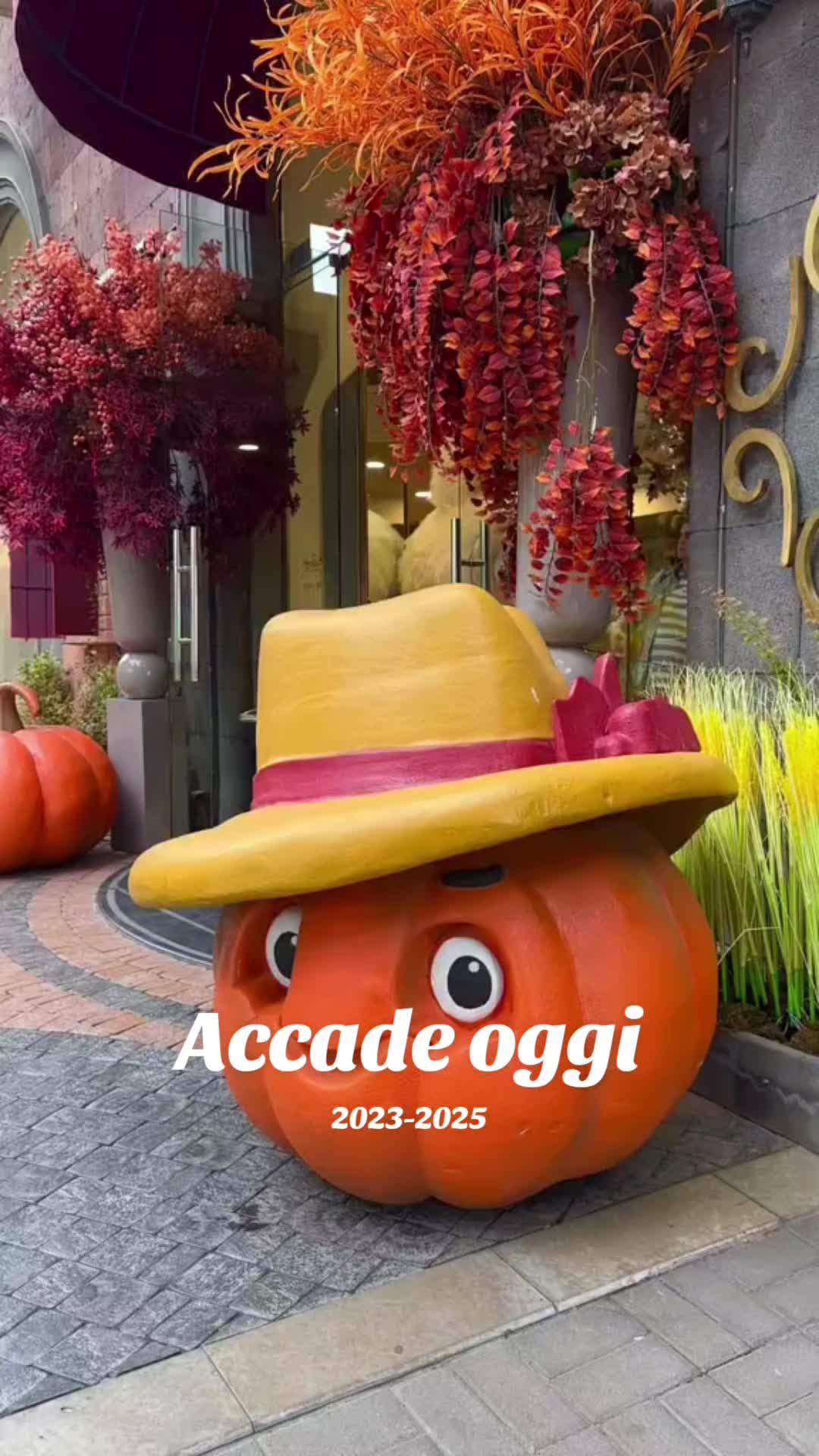 @Antonia Vecchi