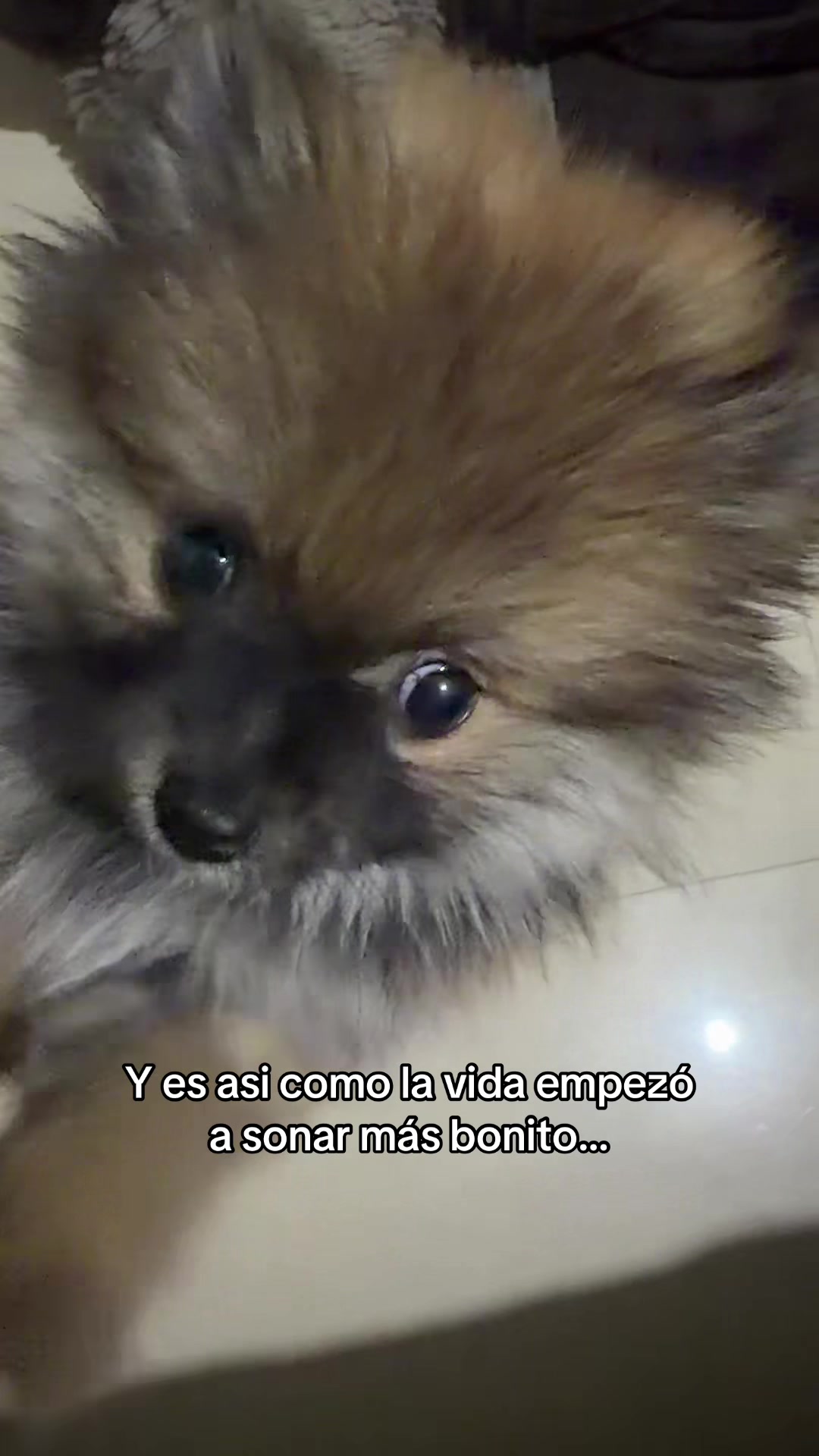 @Laryzza Mireles