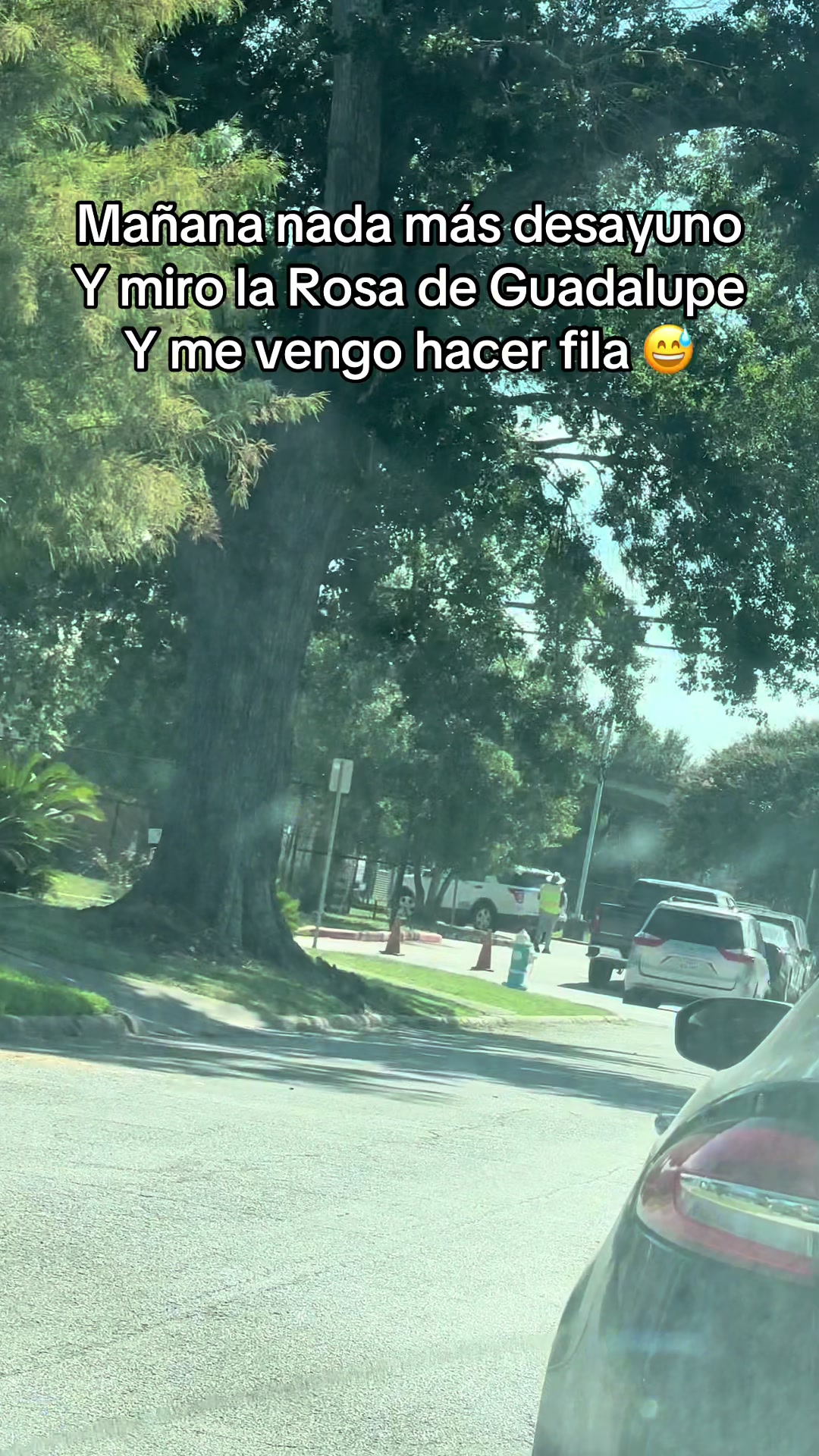 @Lili'Aguilar