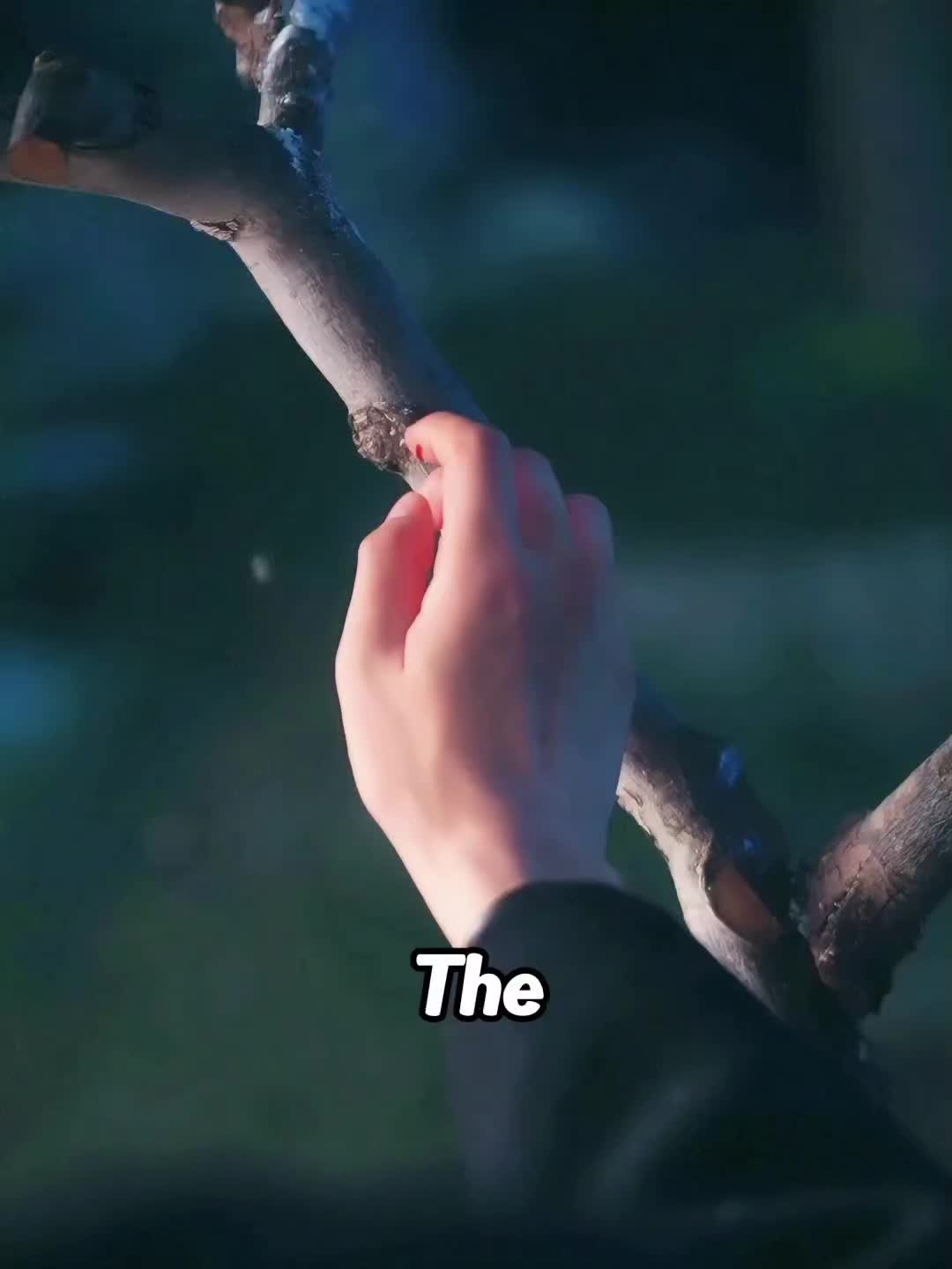 @M A D E E S ๐ฅ