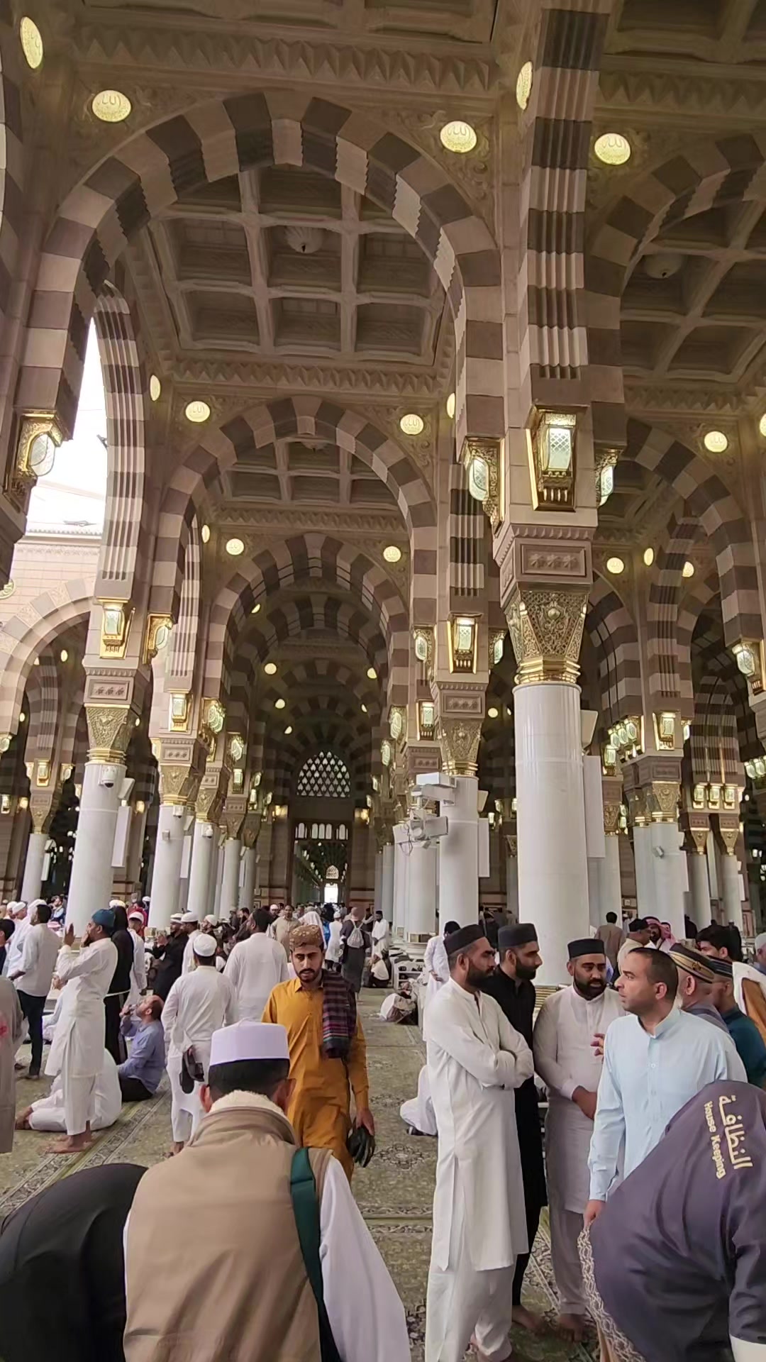 @عدنان بے ہوش