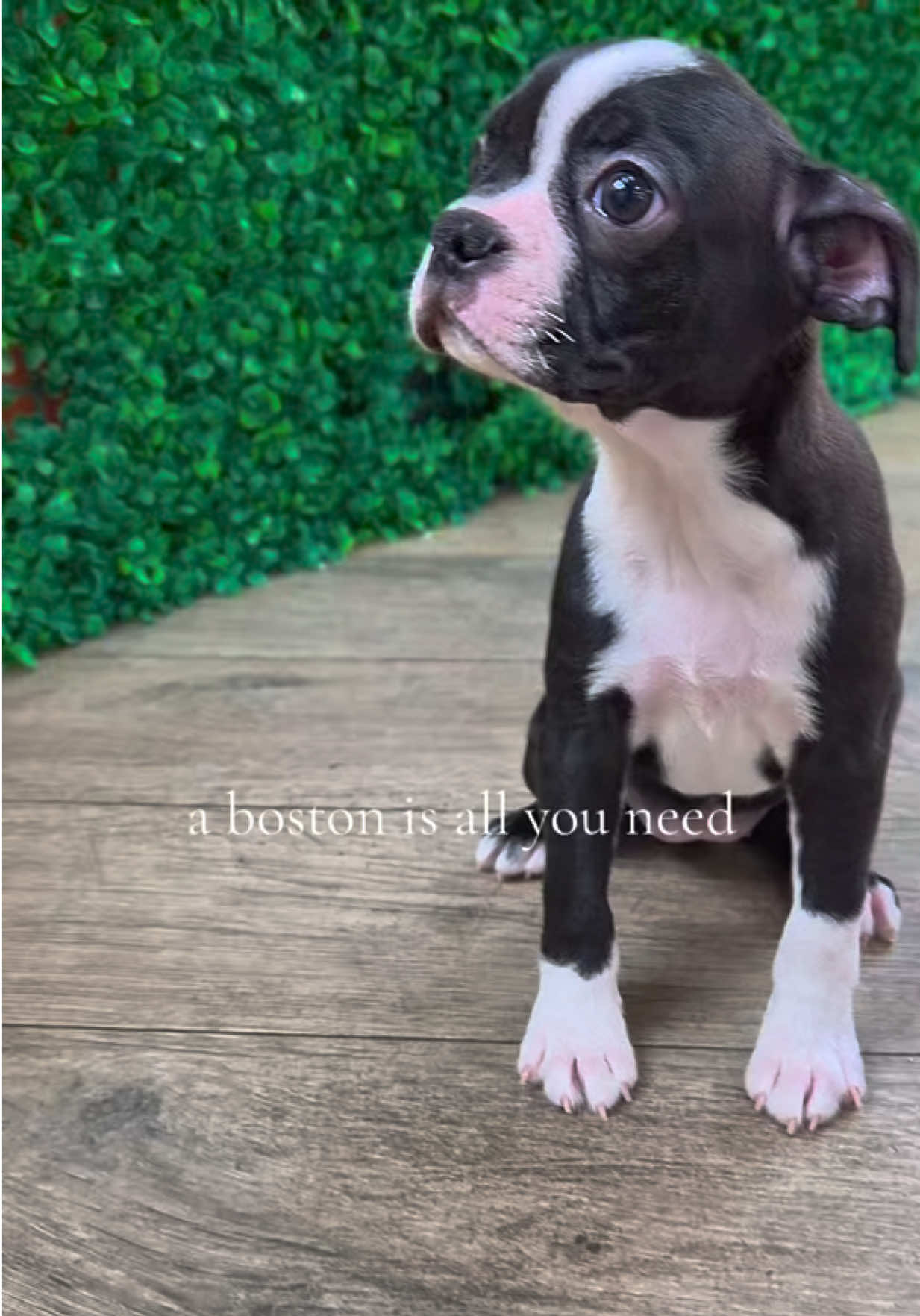 @Petland Oklahoma City