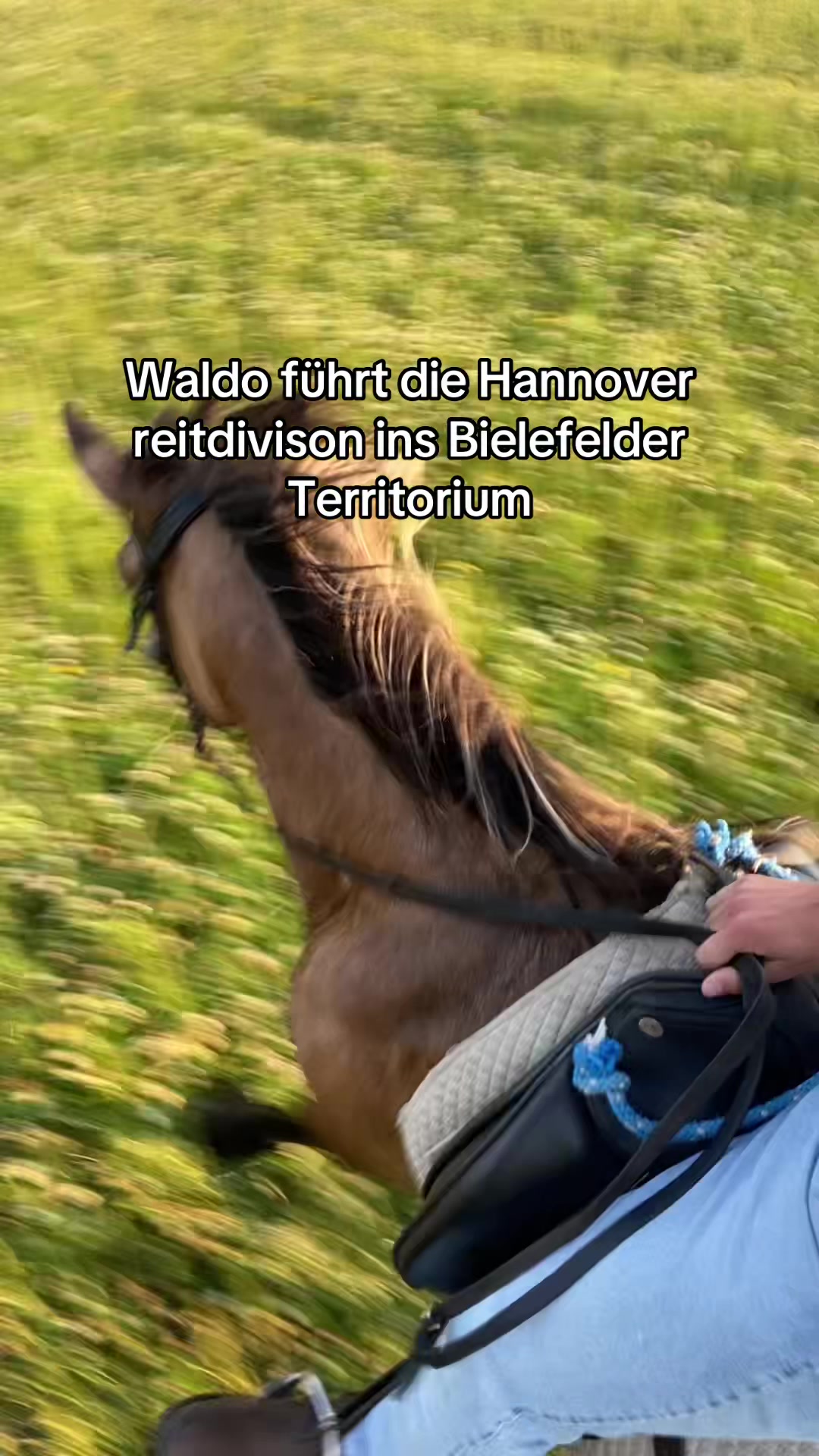 @Waldo
