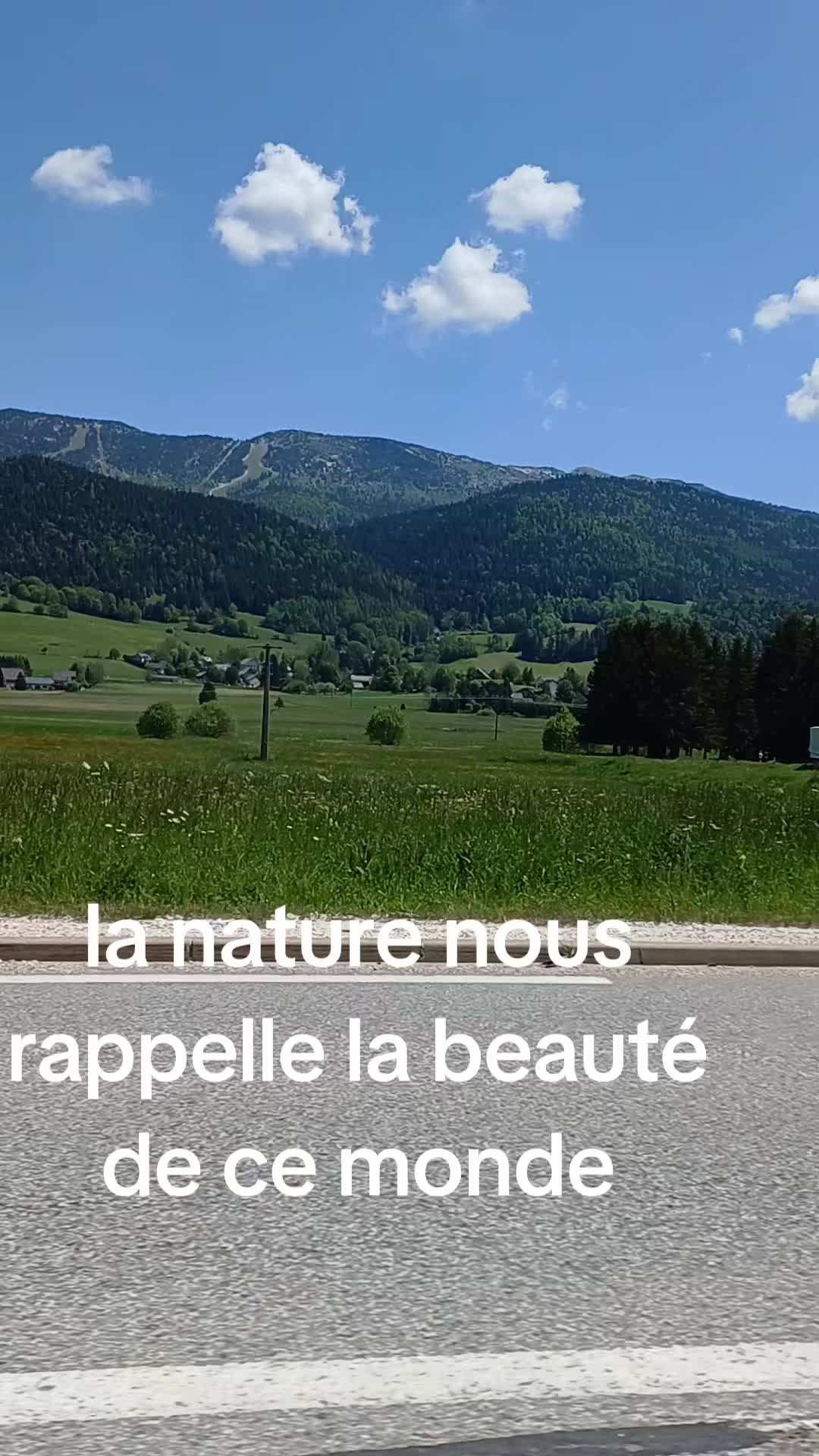 @lealaris