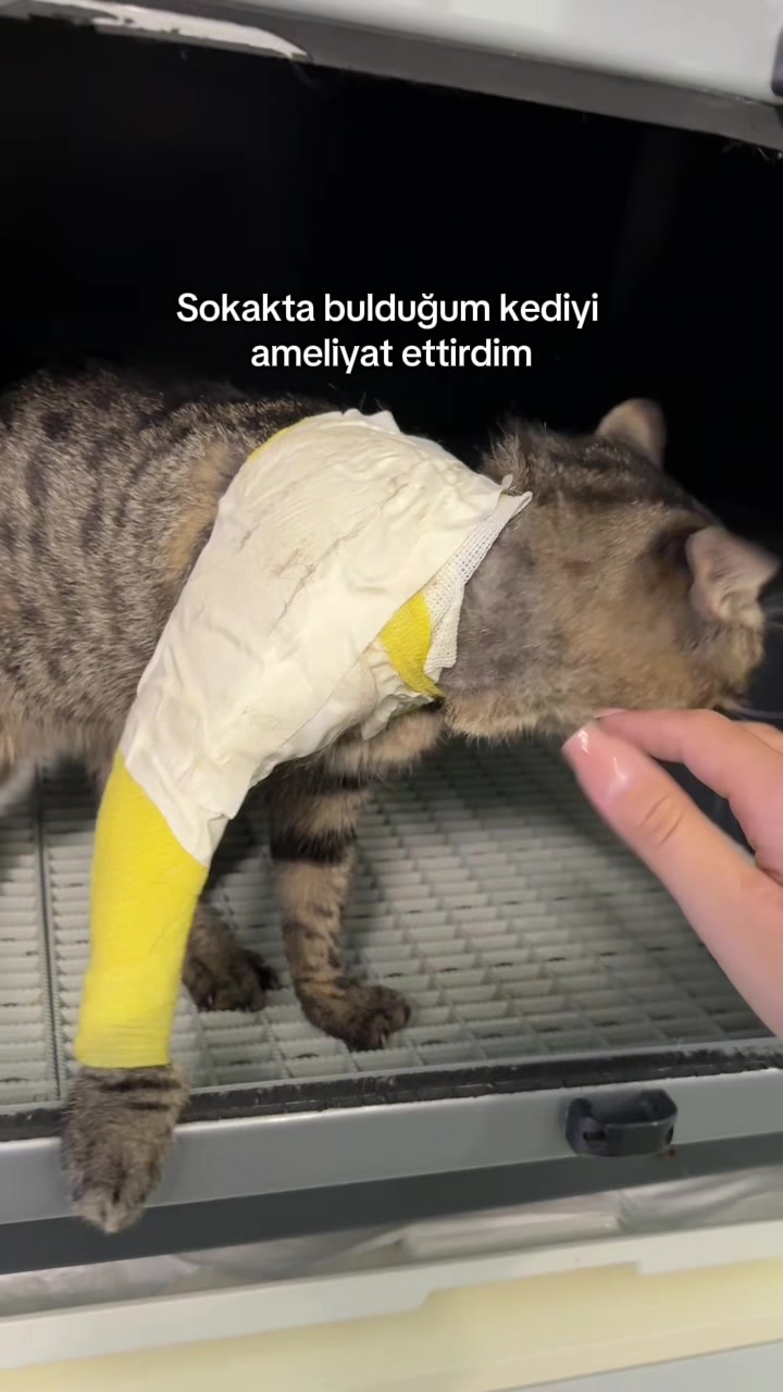 @Seda Aydın Akademi
