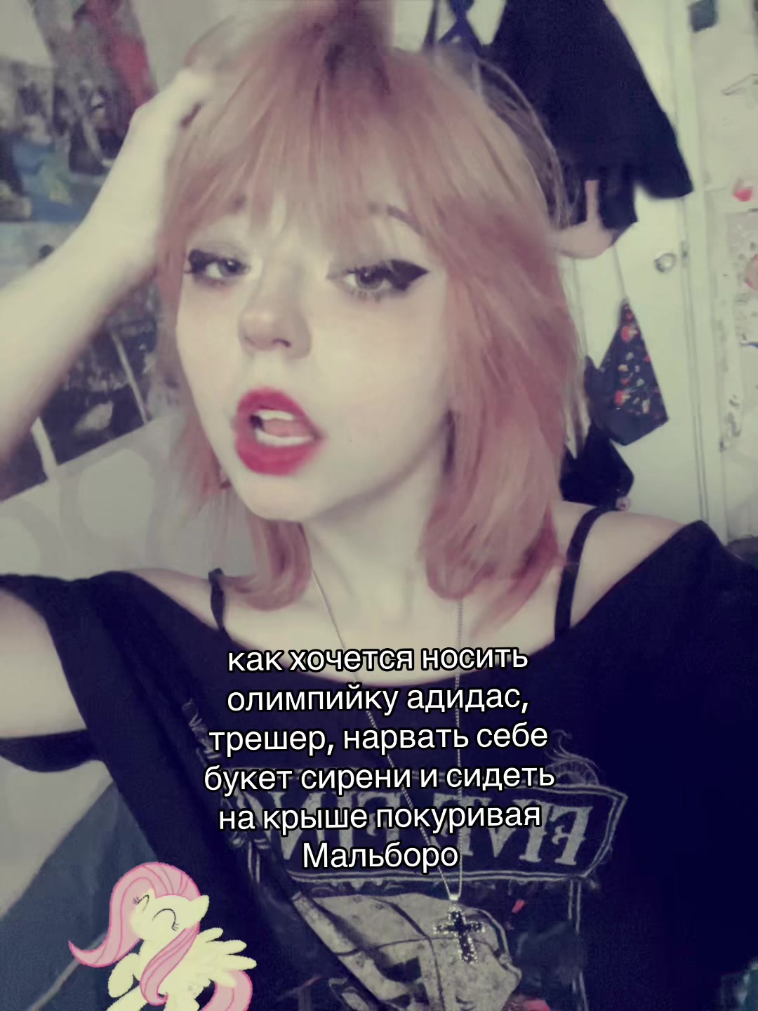 @&iexcl;!алиса тостер!&iexcl;