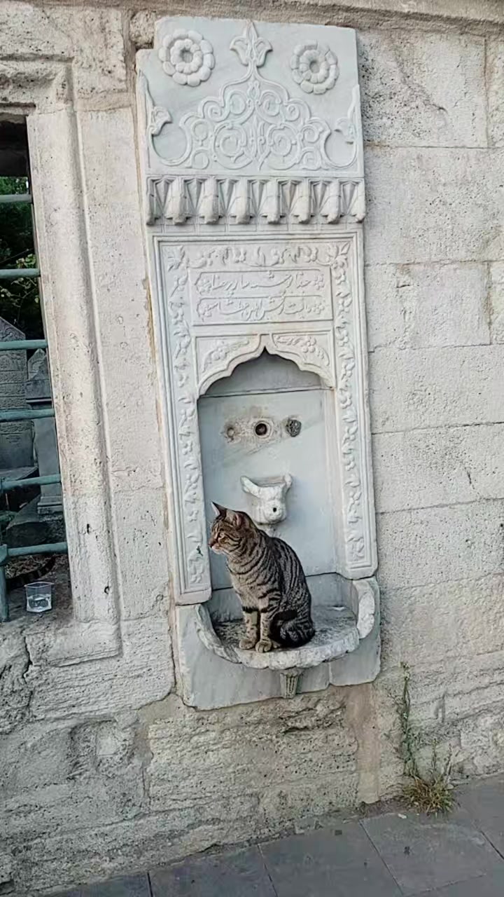 @çetin01_34 god'sman