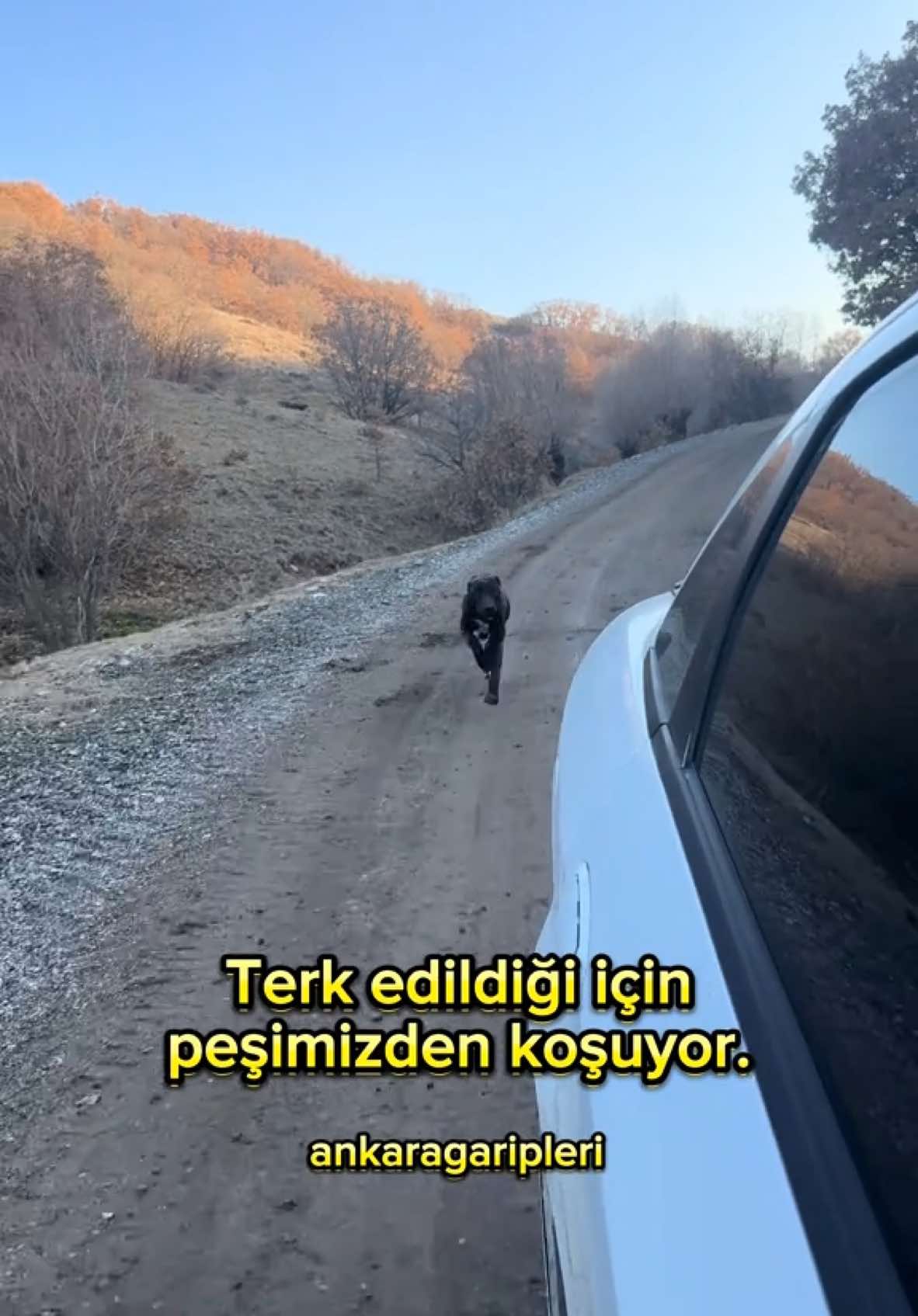 @Asiye