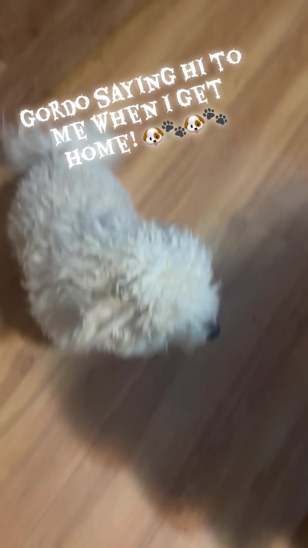 @Mipedacitodecielo801