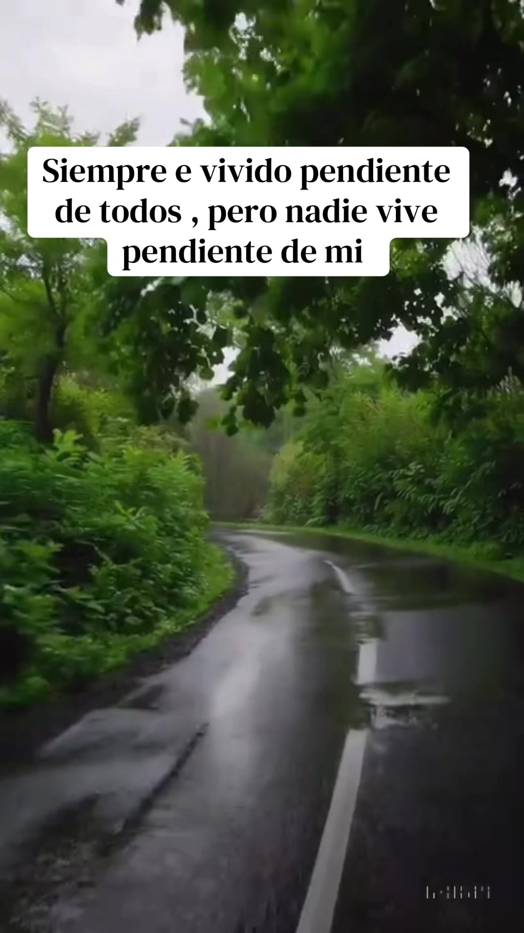 @Aliciag13