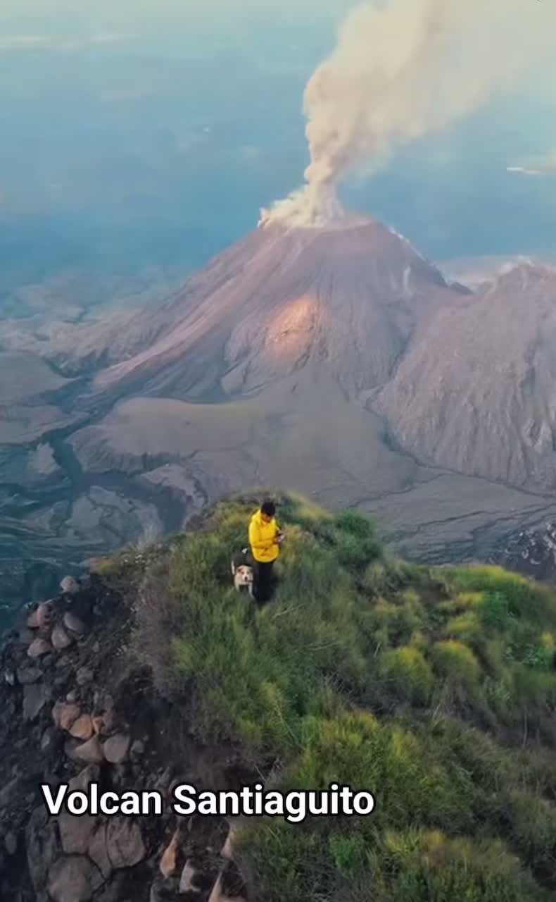 @502mazate