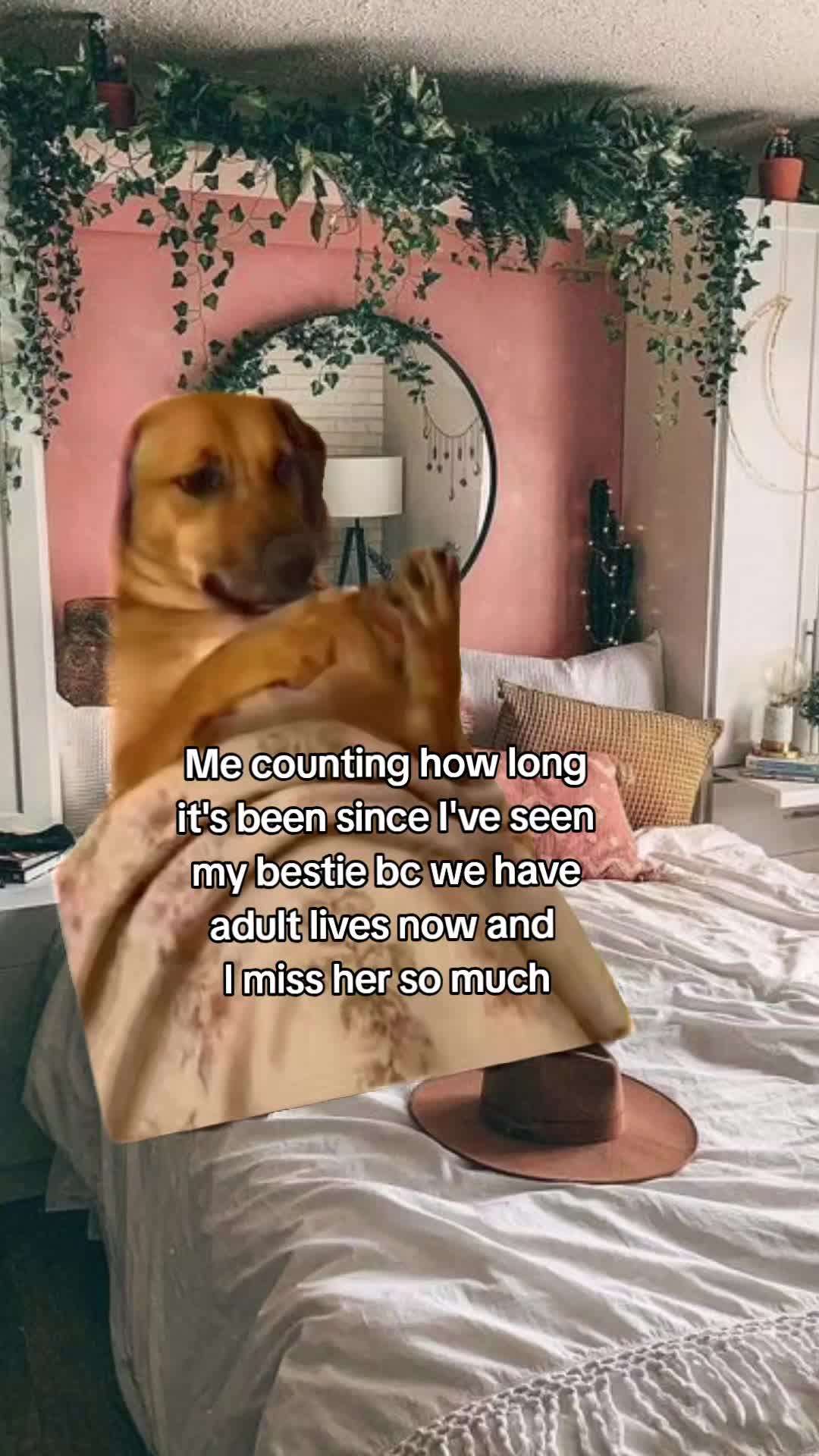 @Julie 👑
