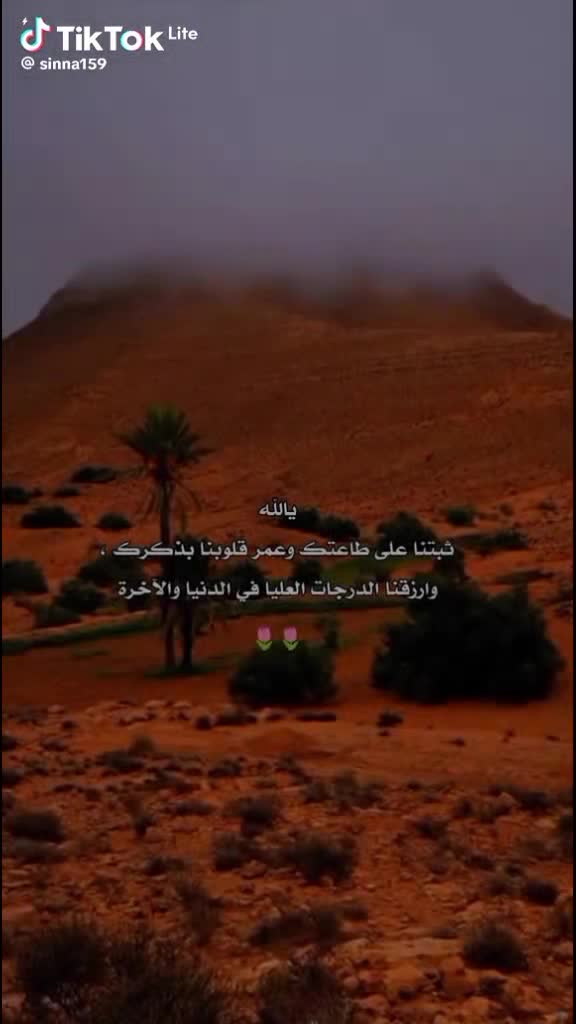 @انس الشامي