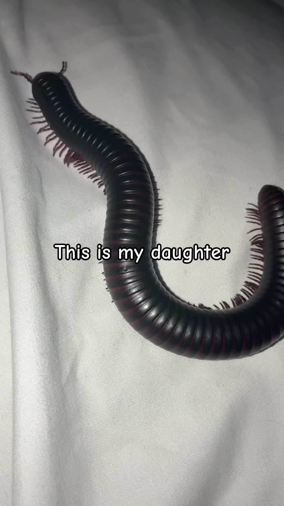 @natlynn_june