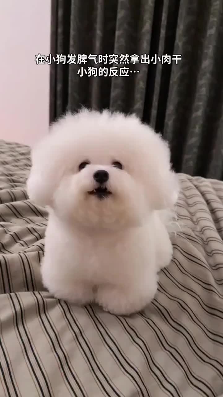 @pipuy.com