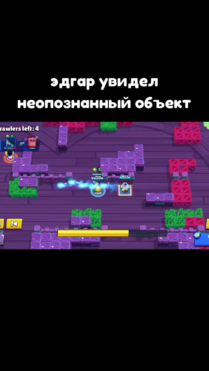 @popka_bobra43