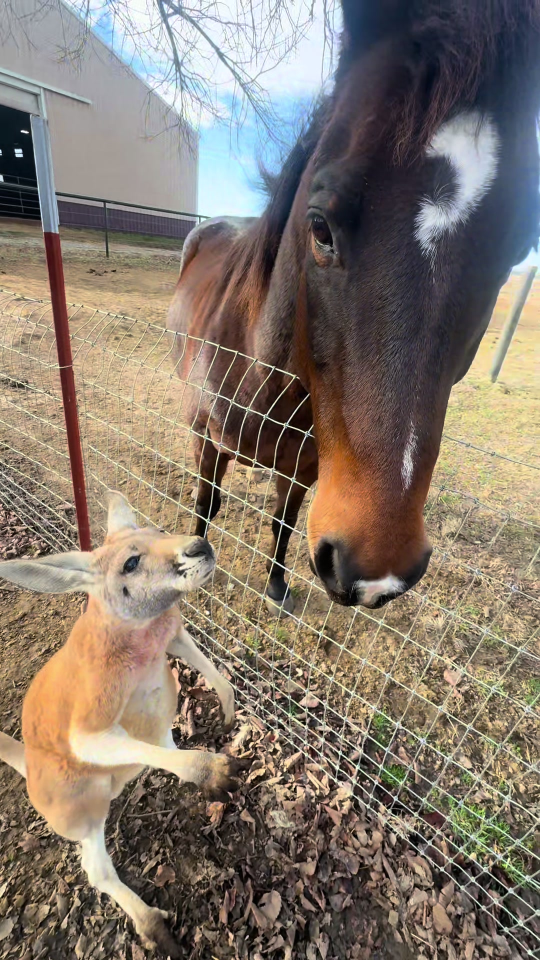 @masoncreekranch