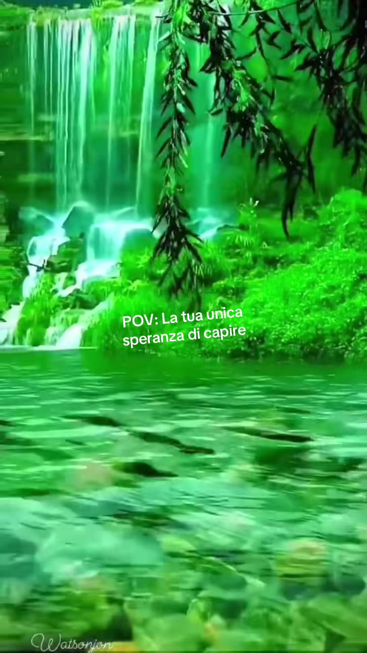 @rondinialguinzaglio🤍