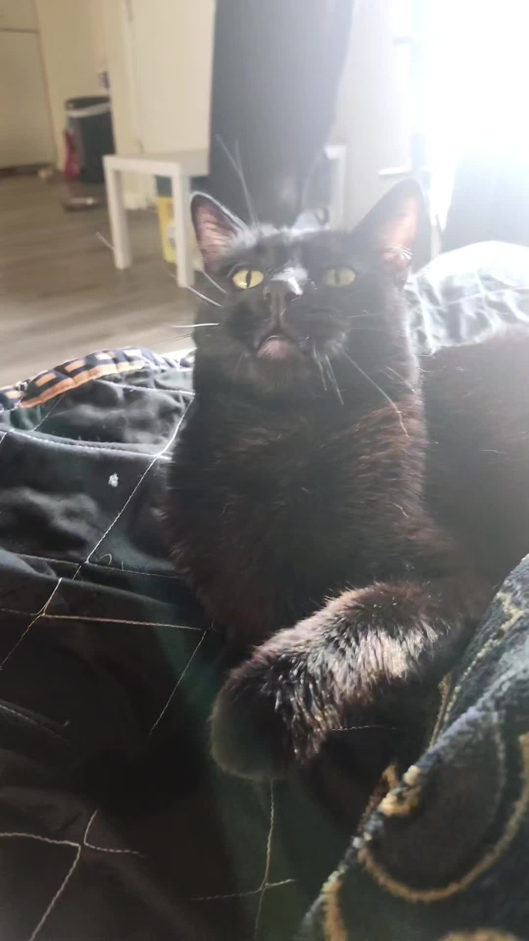 @kat