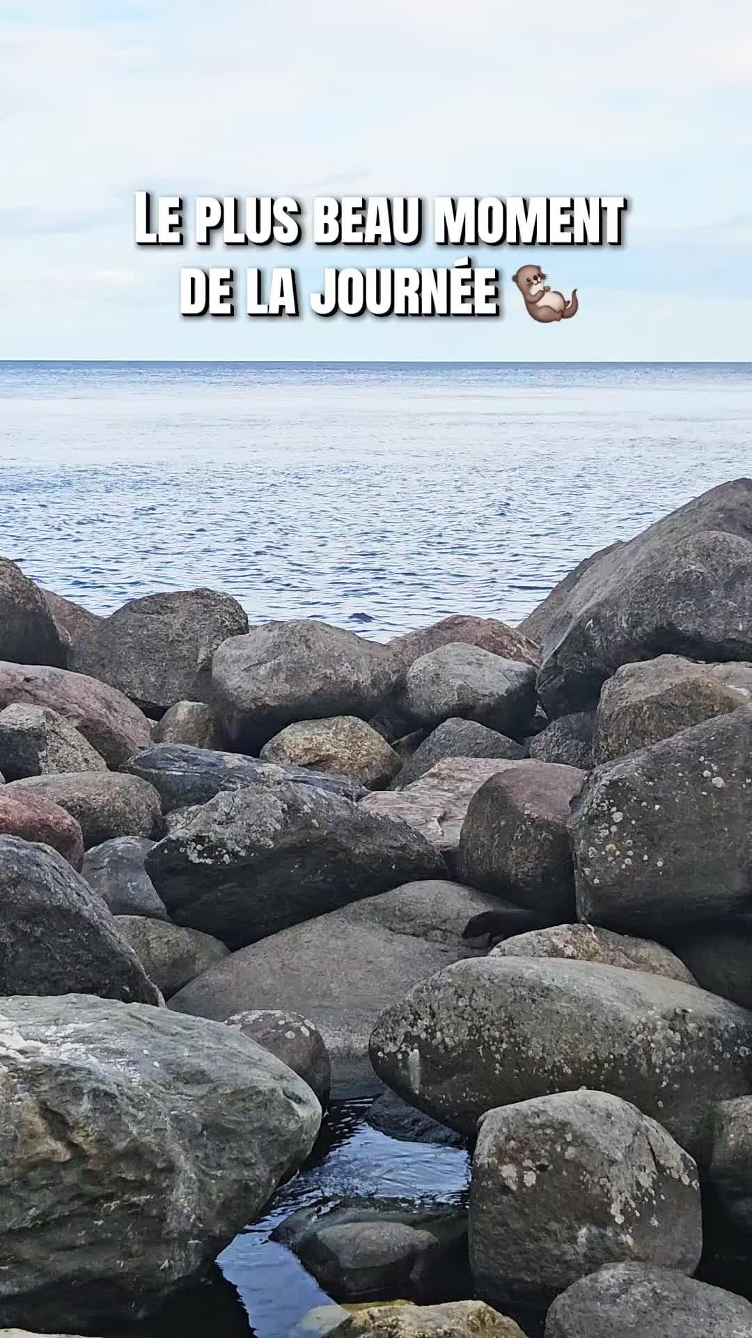 @Les p&rsquo;tits loups en vadrouille