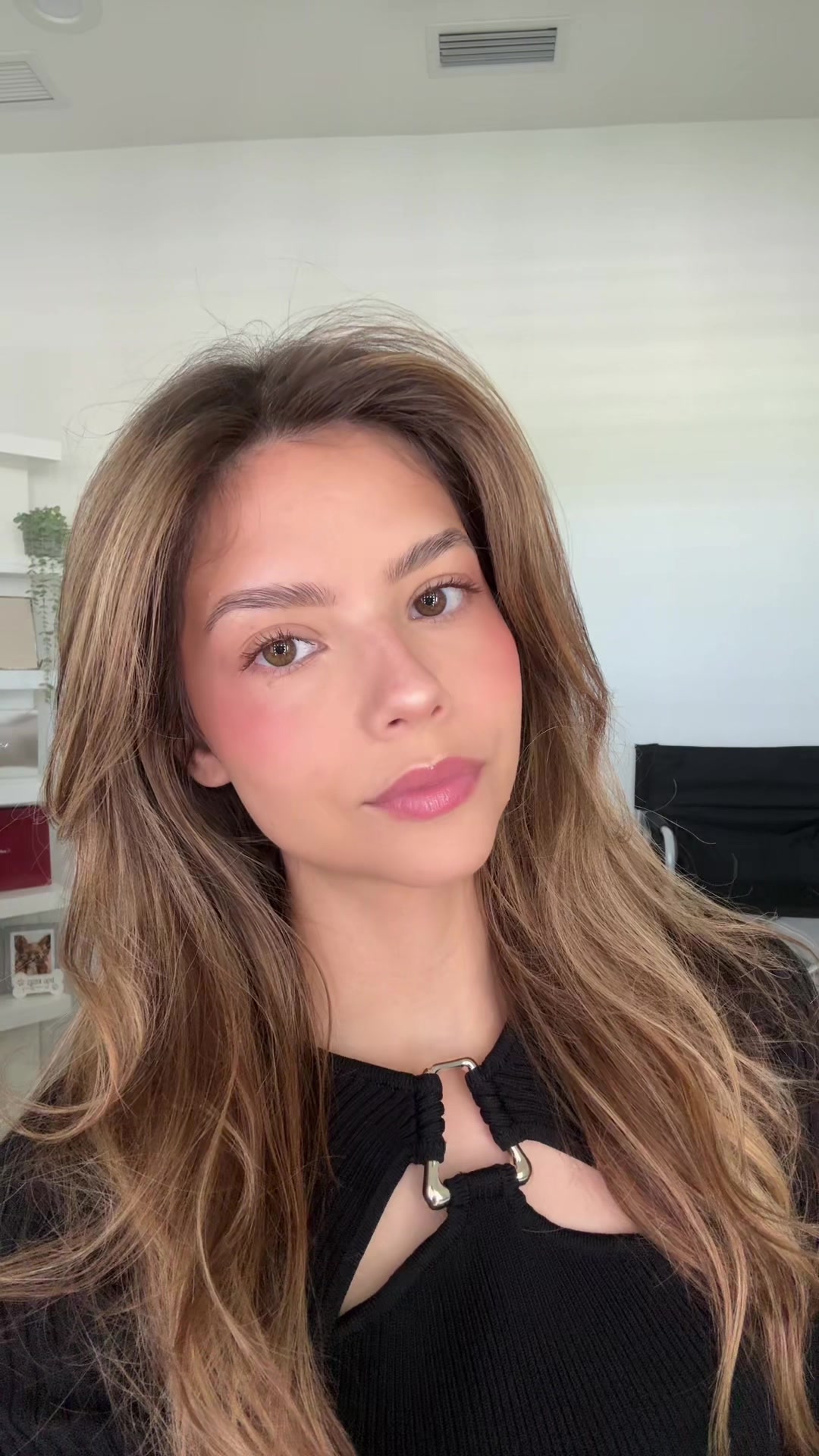 @FaceByLilyRose