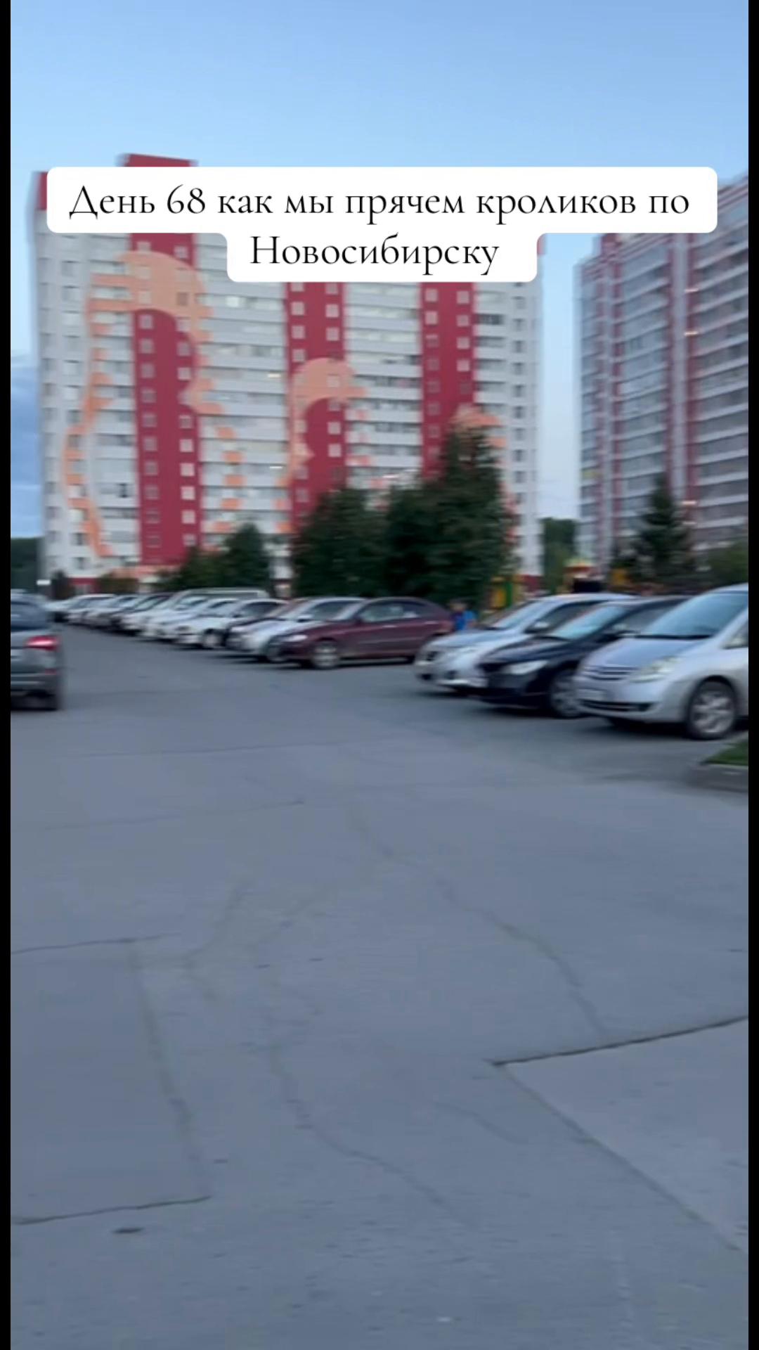 @Кролики