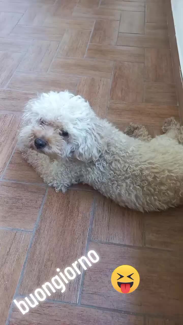 @Giovanna _chicco