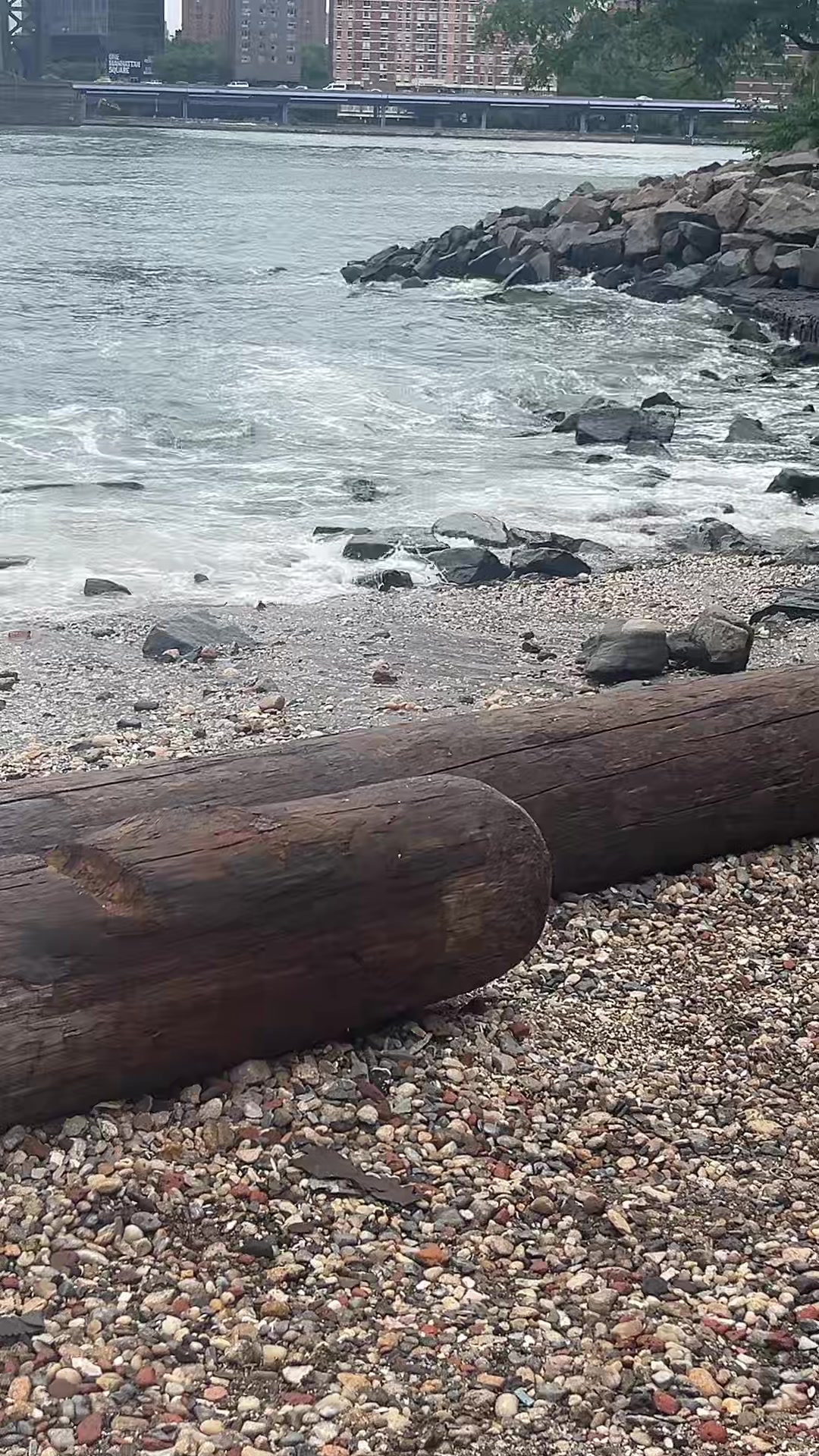 @EdgarToledo23🏕️
