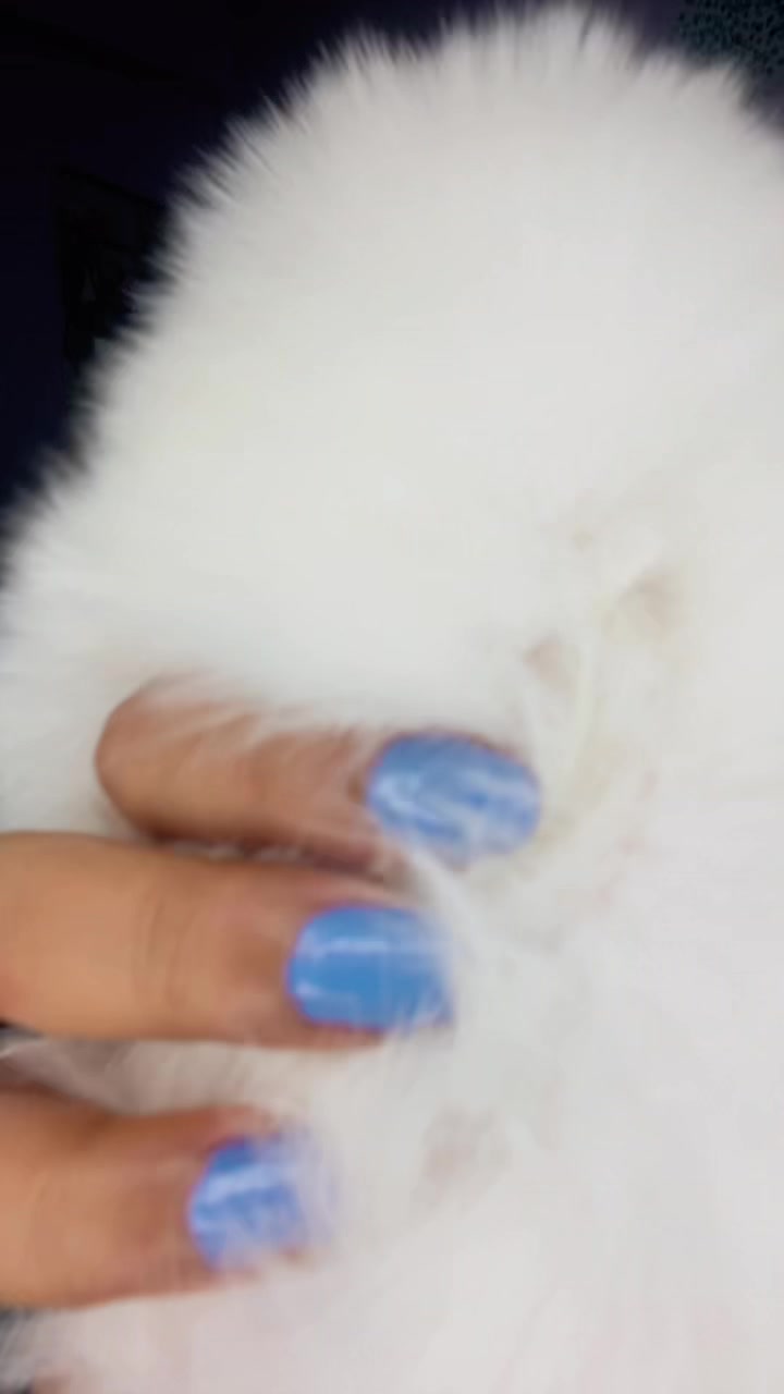@HaMa2🧿
