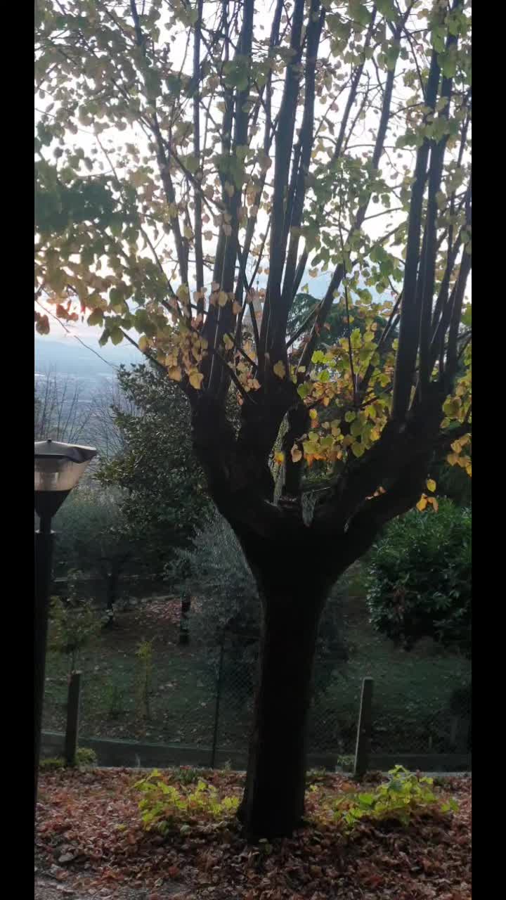 @Cinzia Merli