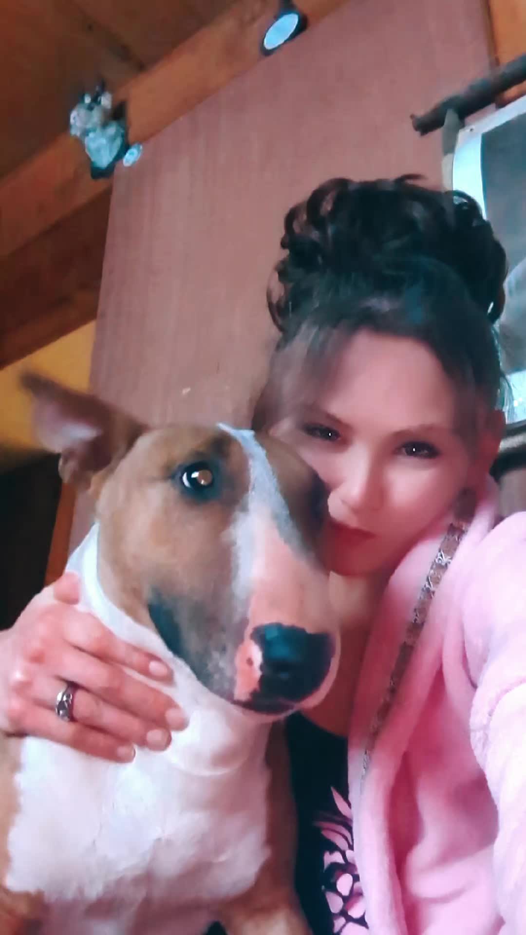 @jessibarbiesbullterrier