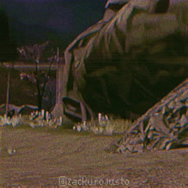 @๐ต๐ท๐ฉ๐ด ZACKUROJUSTO ๐ชโ๏ธ