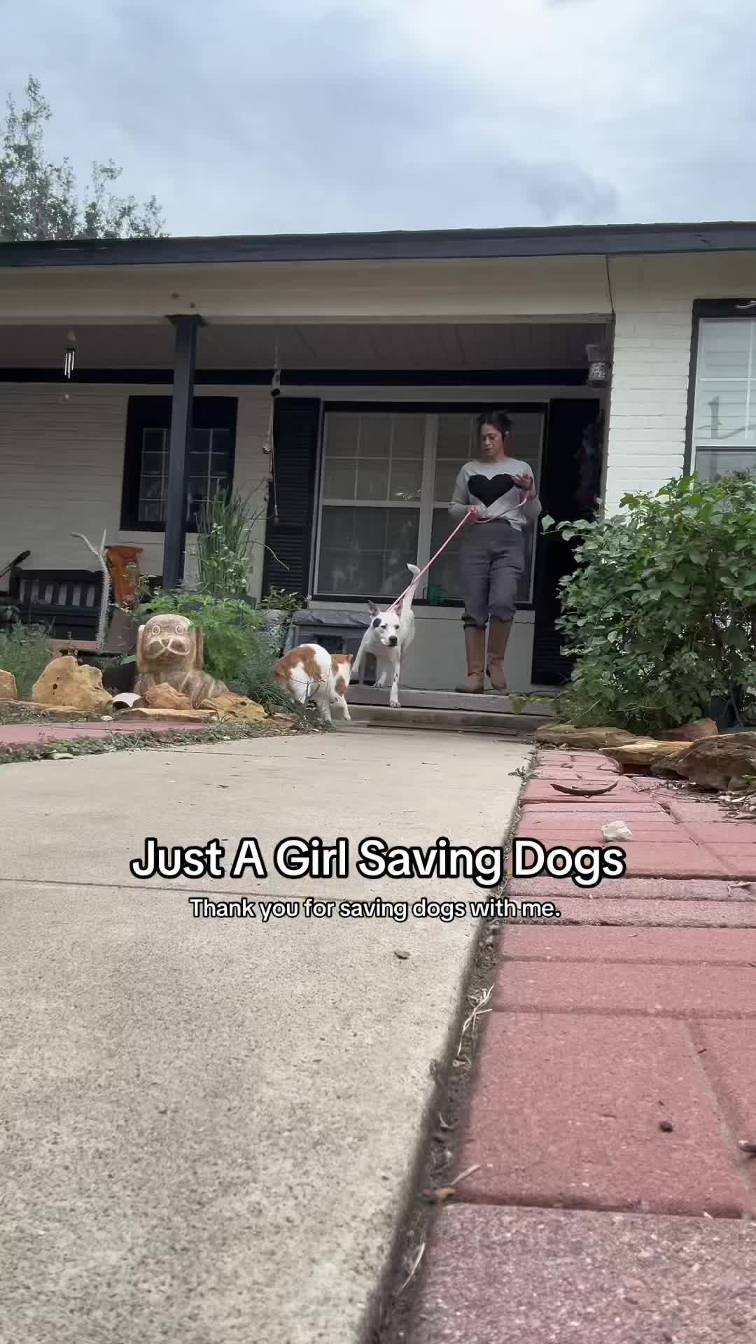 @Just A Girl Saving Dogs