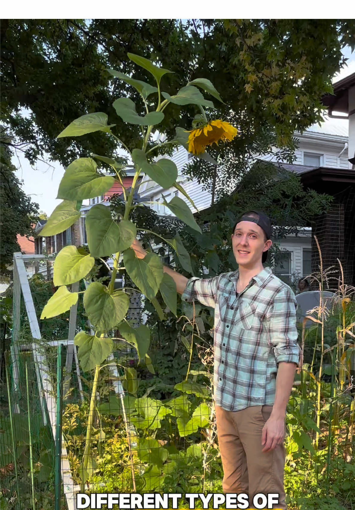 @Urban Agriculture w/ Mike
