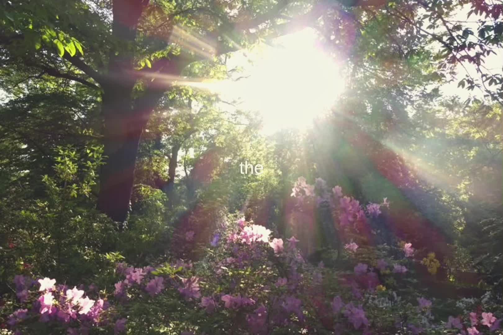 @ℳ