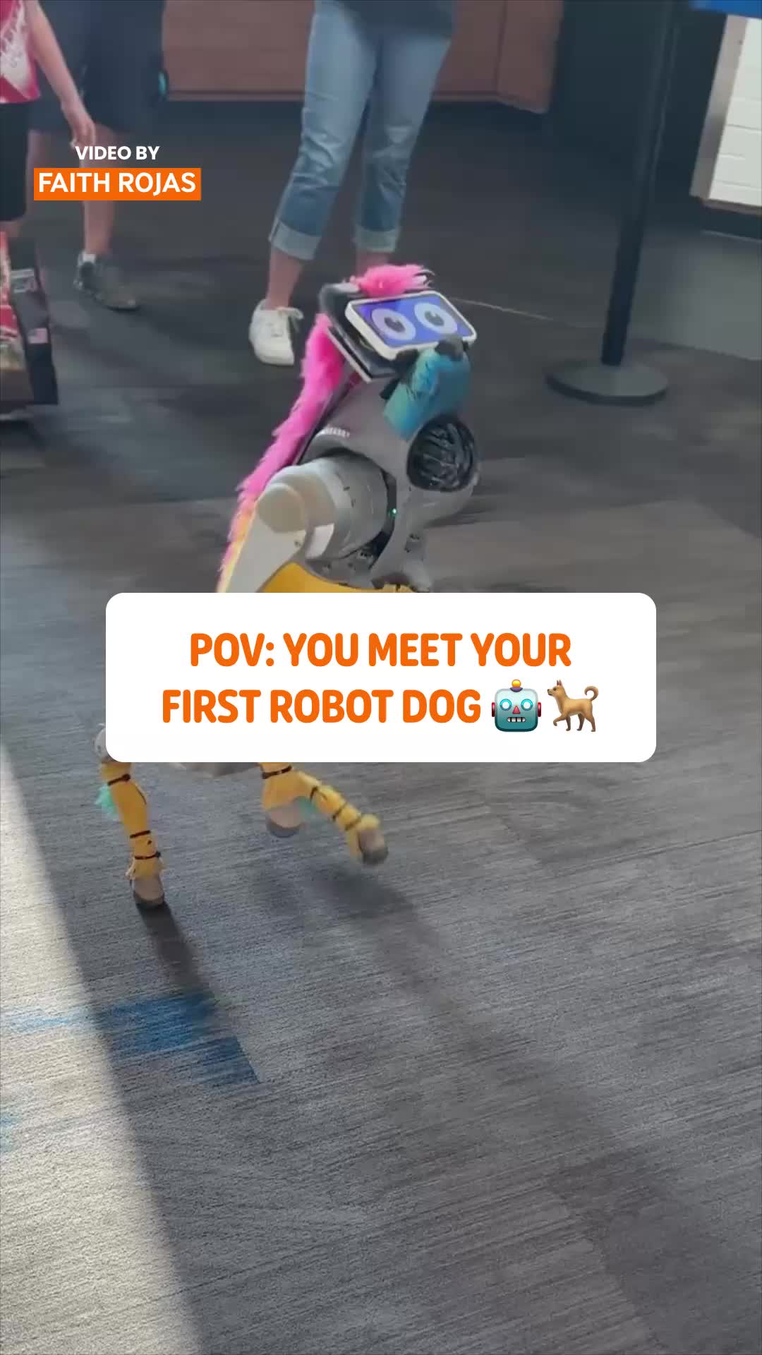 @Pawsome Pets