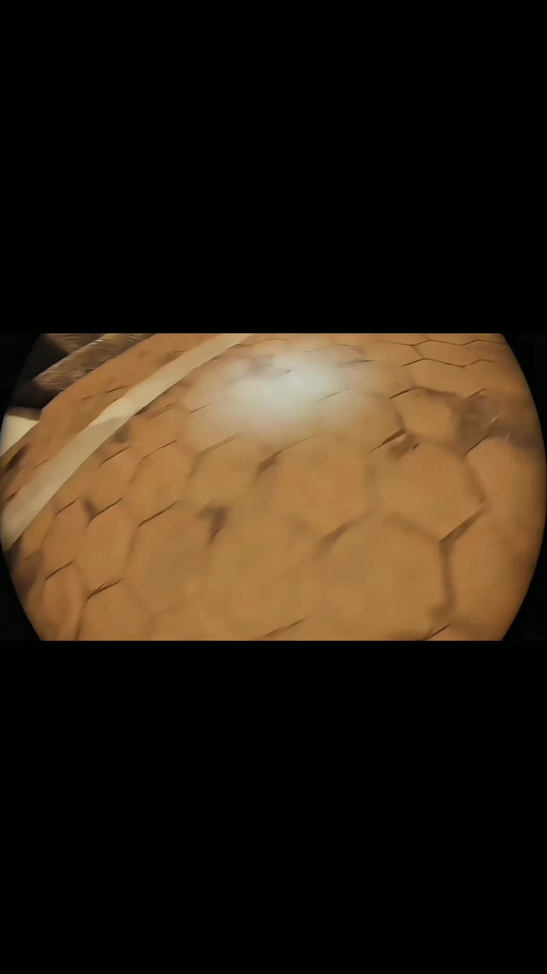 @Sl33pZ