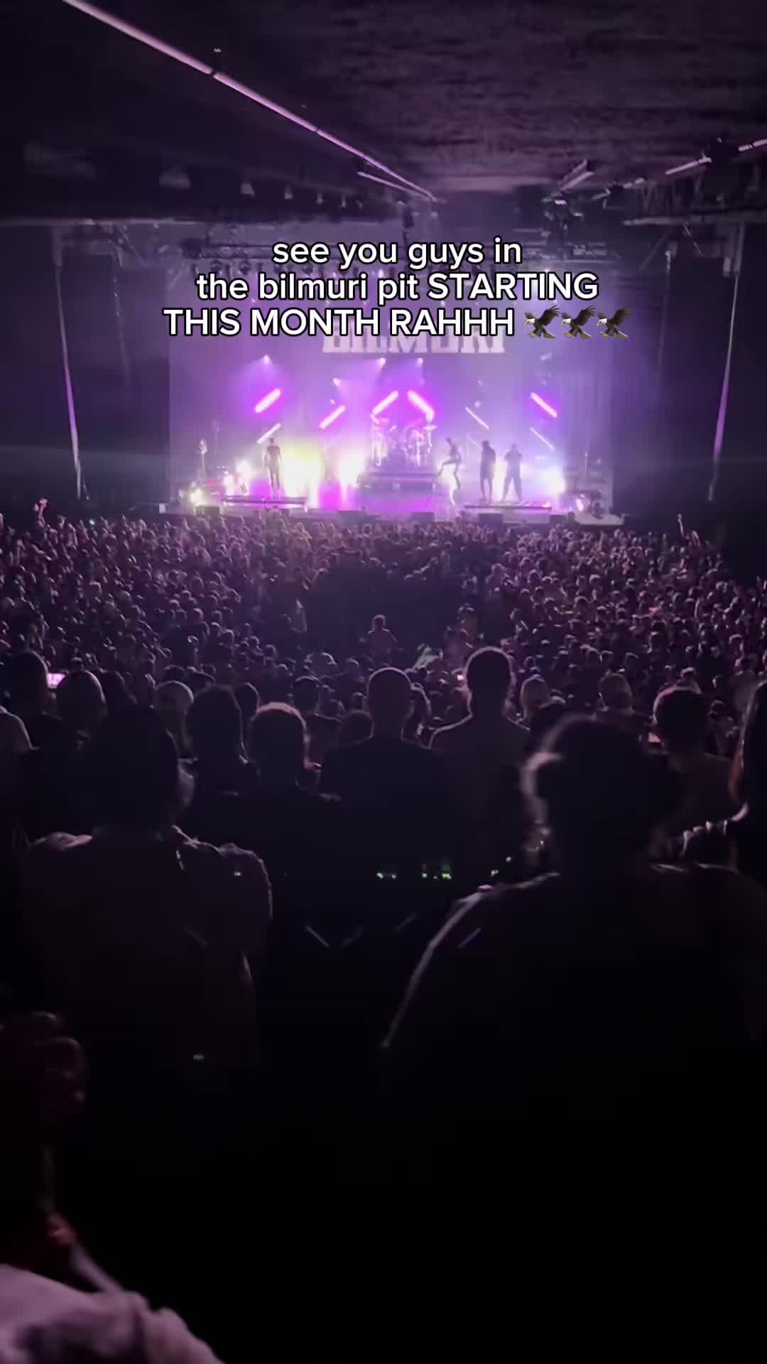 @Bilmuri Fan