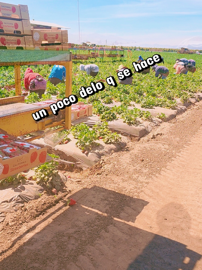 @E L  P A R C E