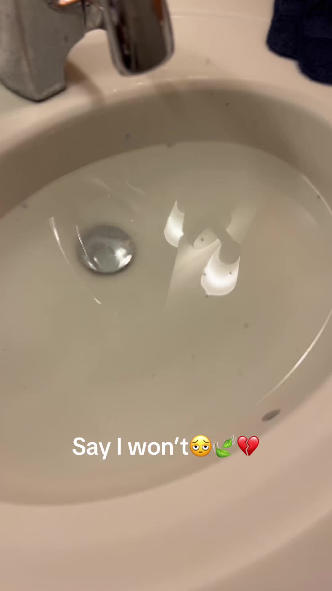 @ᴛʀx